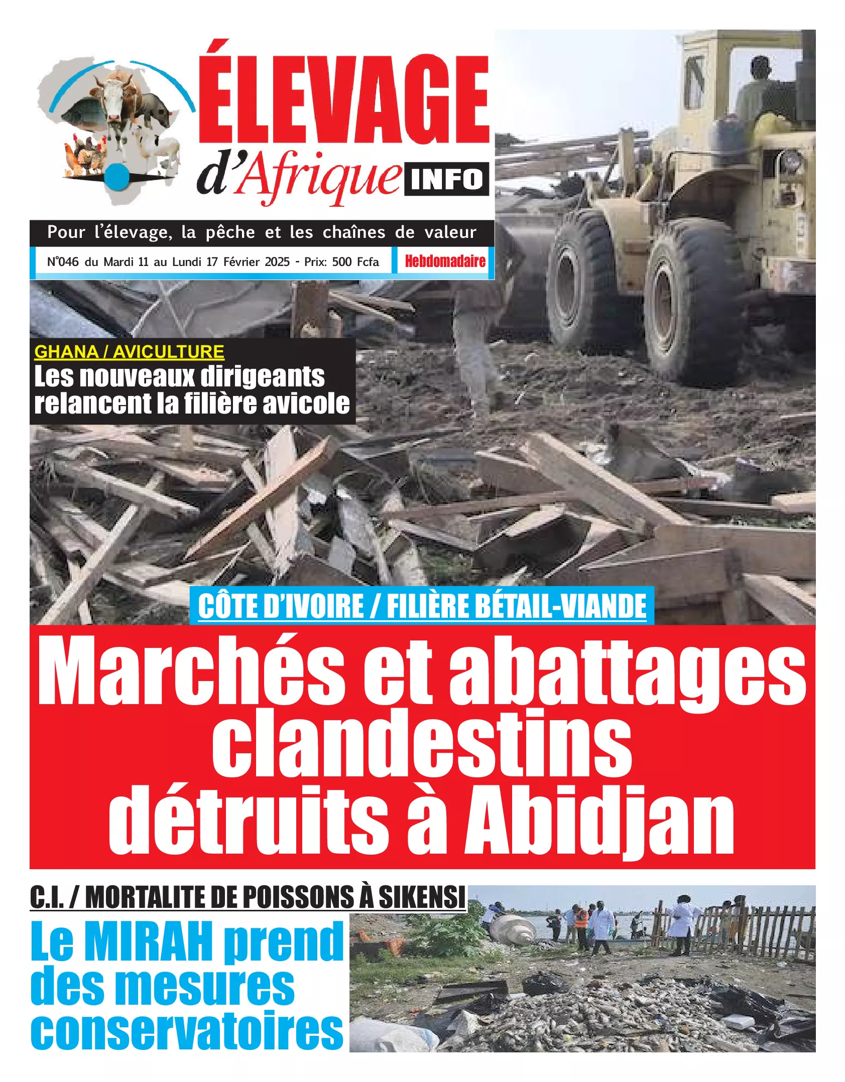 N° 46 - 2025-02-11
