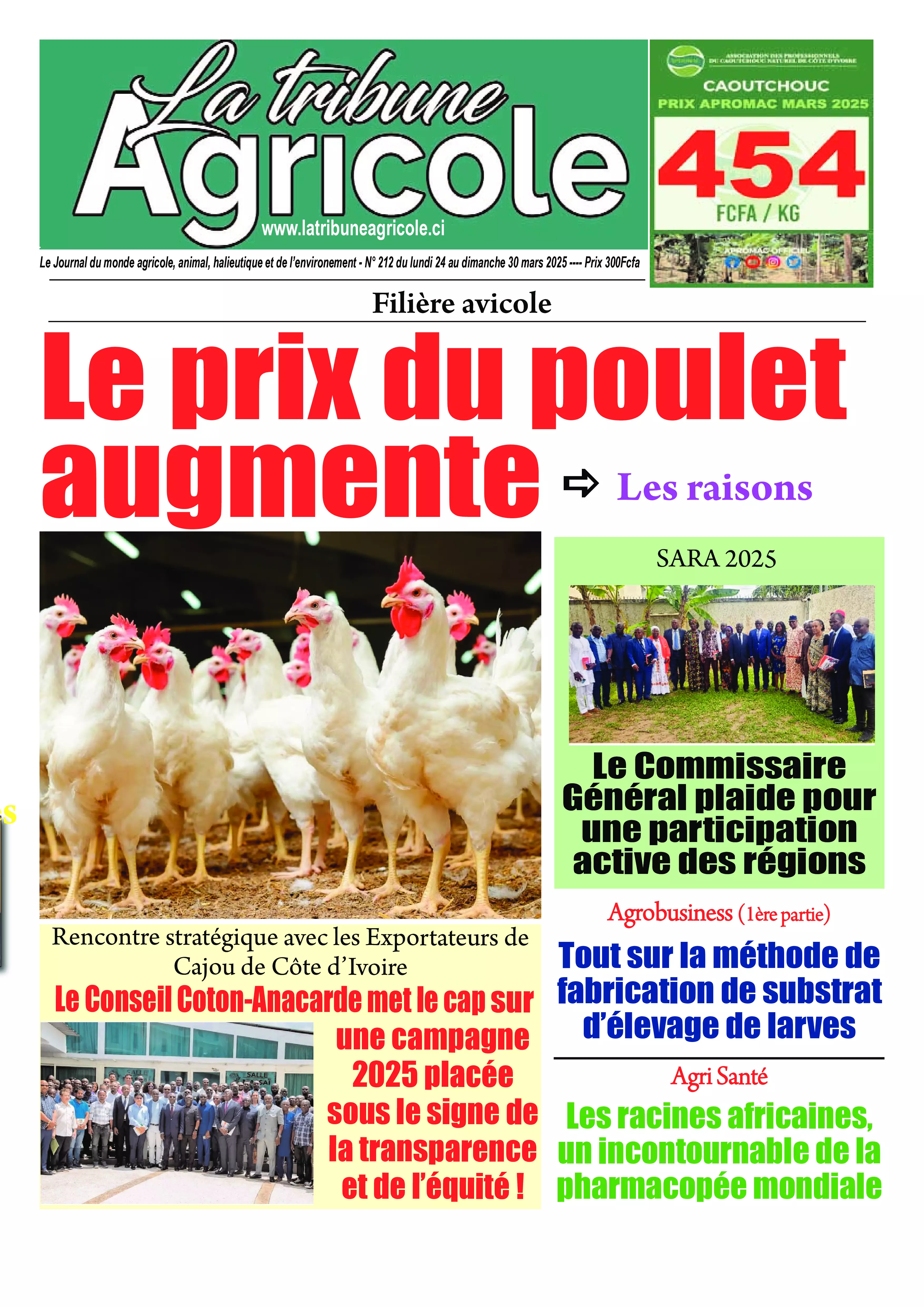N° 212 - 2025-03-25