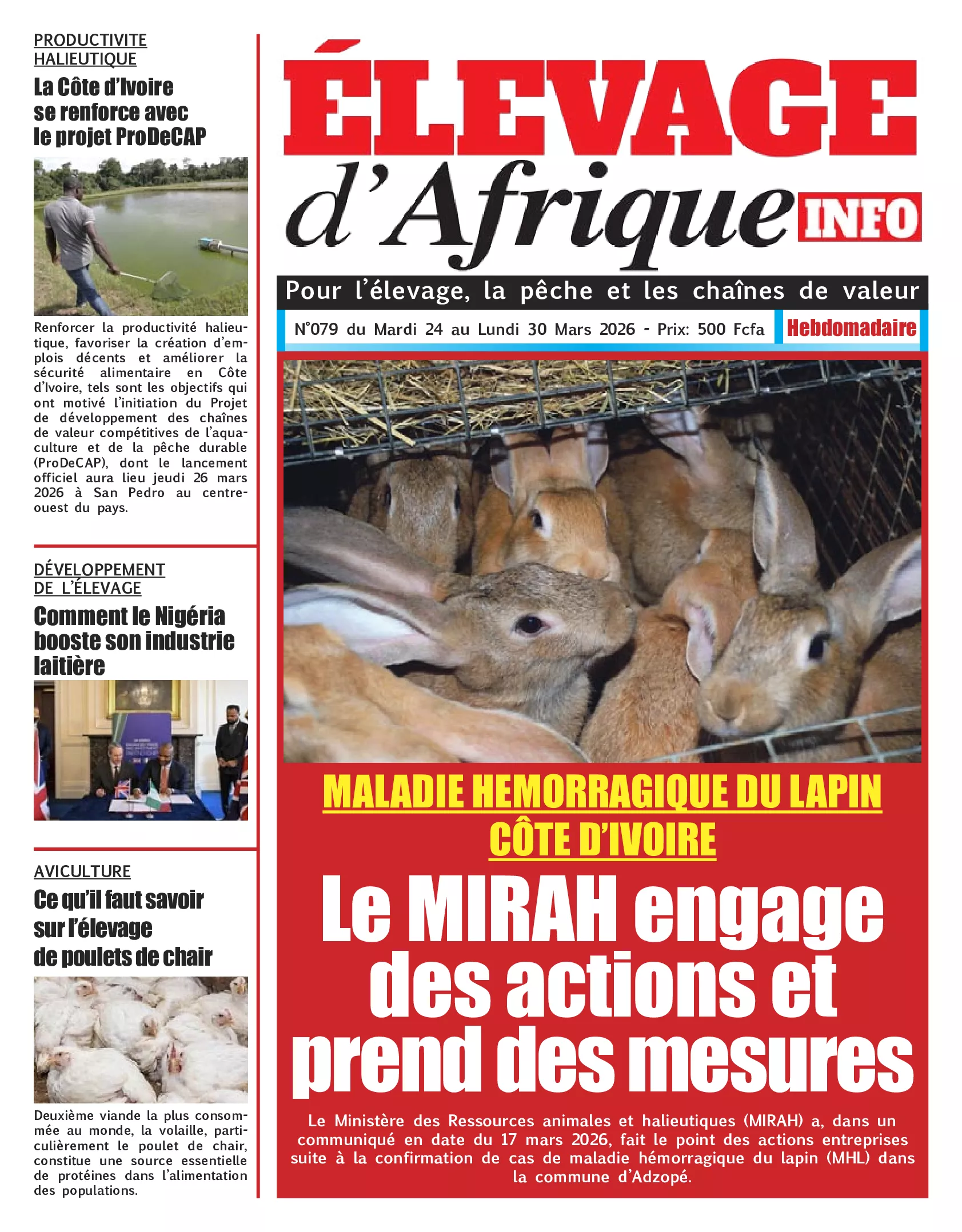 ELEVAGE D AFRIQUE N° 79