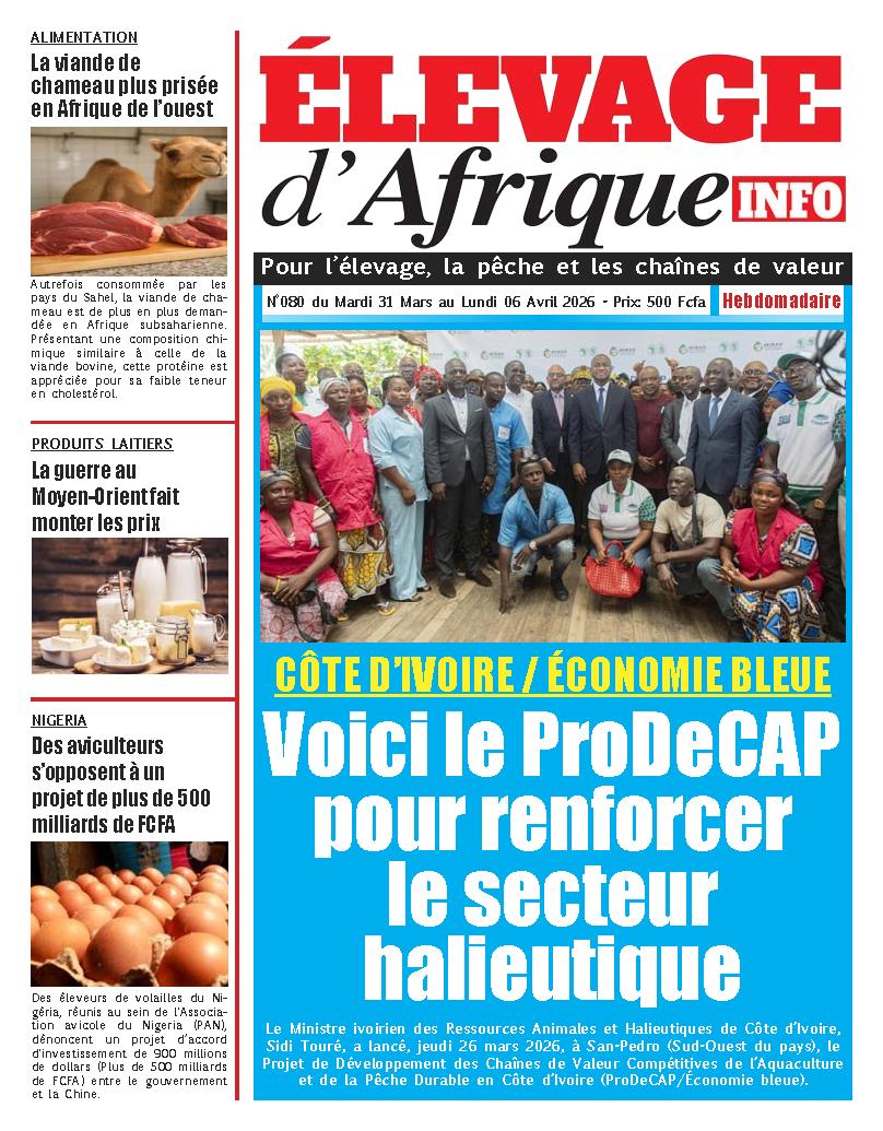 ELEVAGE D AFRIQUE N° 80