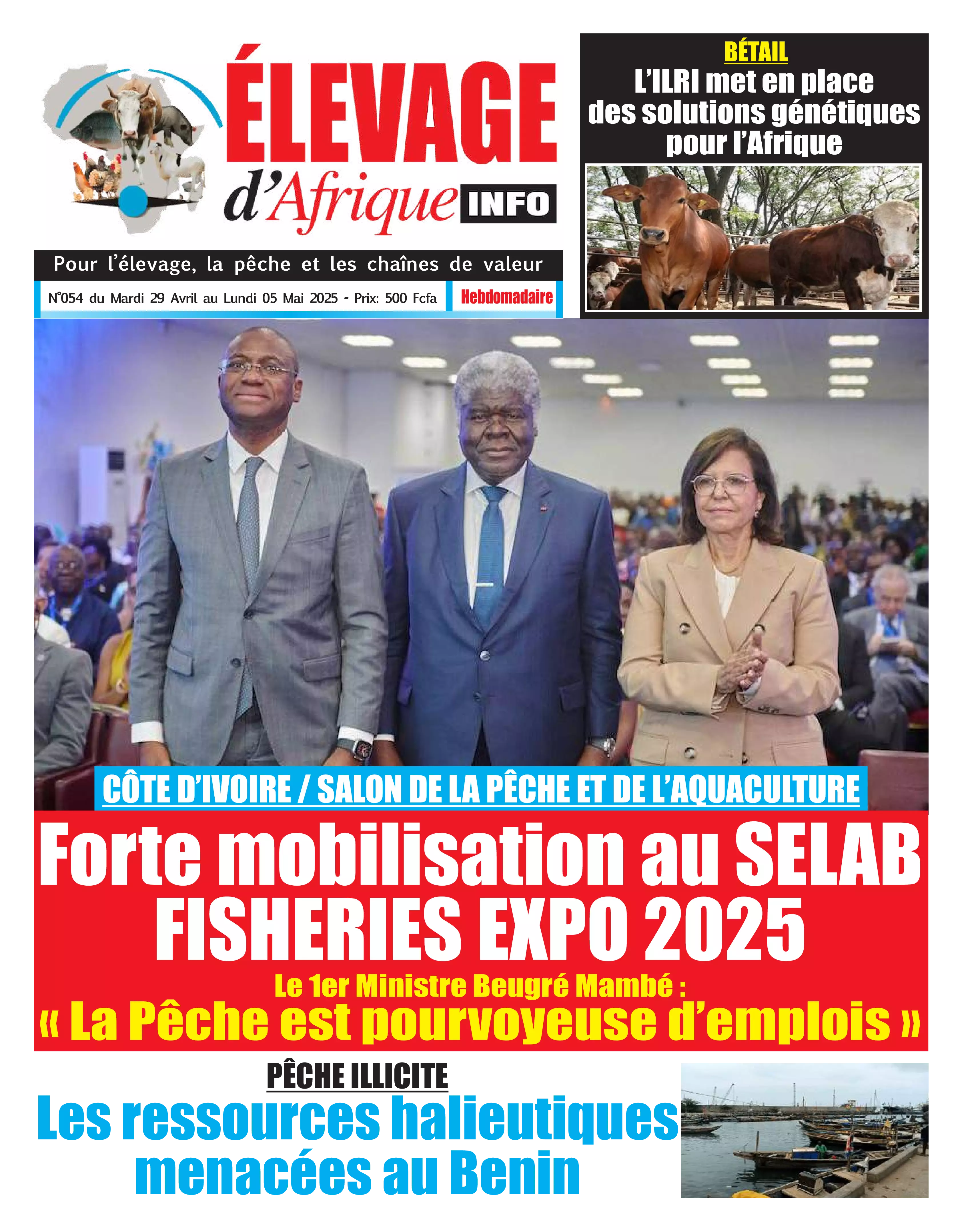 N° 54 - 2025-04-29