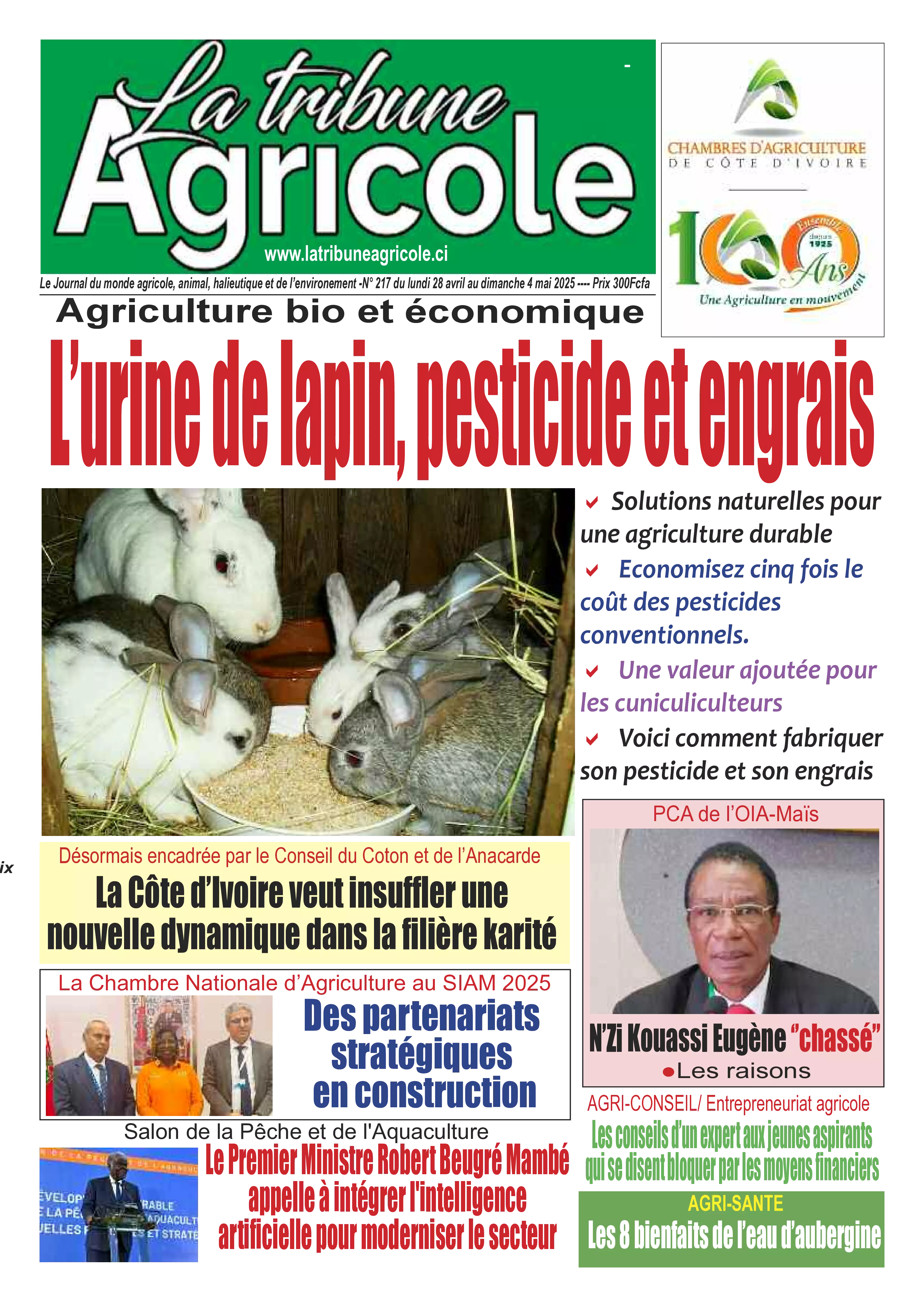 N° 217 - 2025-04-29