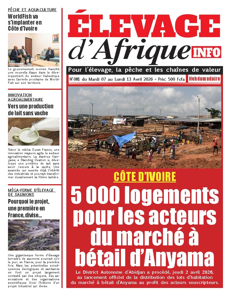 ELEVAGE D AFRIQUE N° 81
