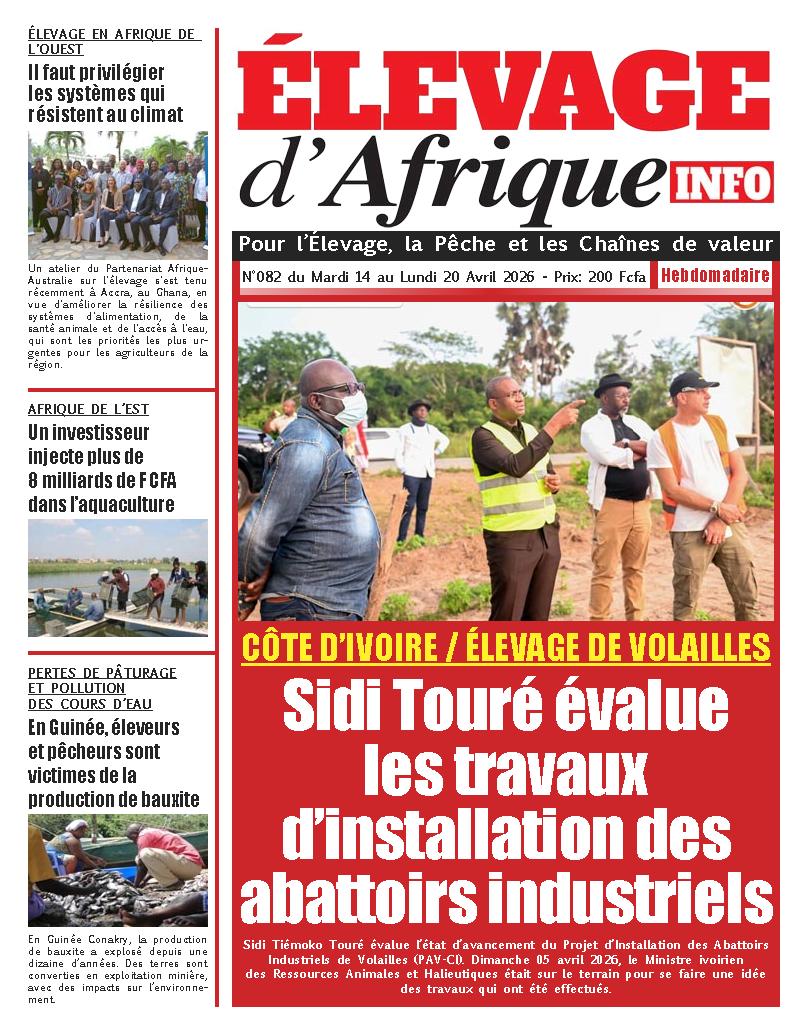 ELEVAGE D AFRIQUE N° 82