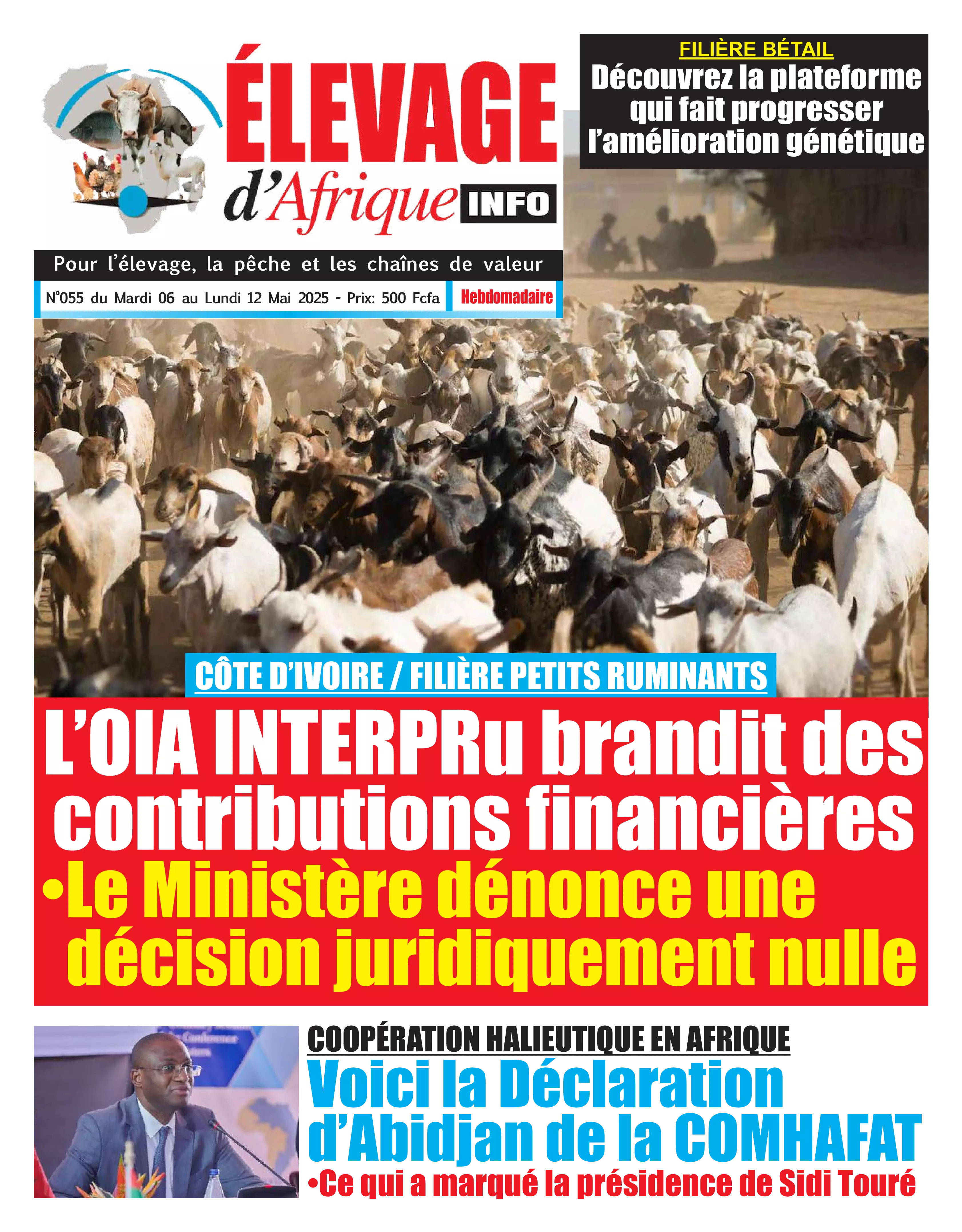 N° 55 - 2025-05-06