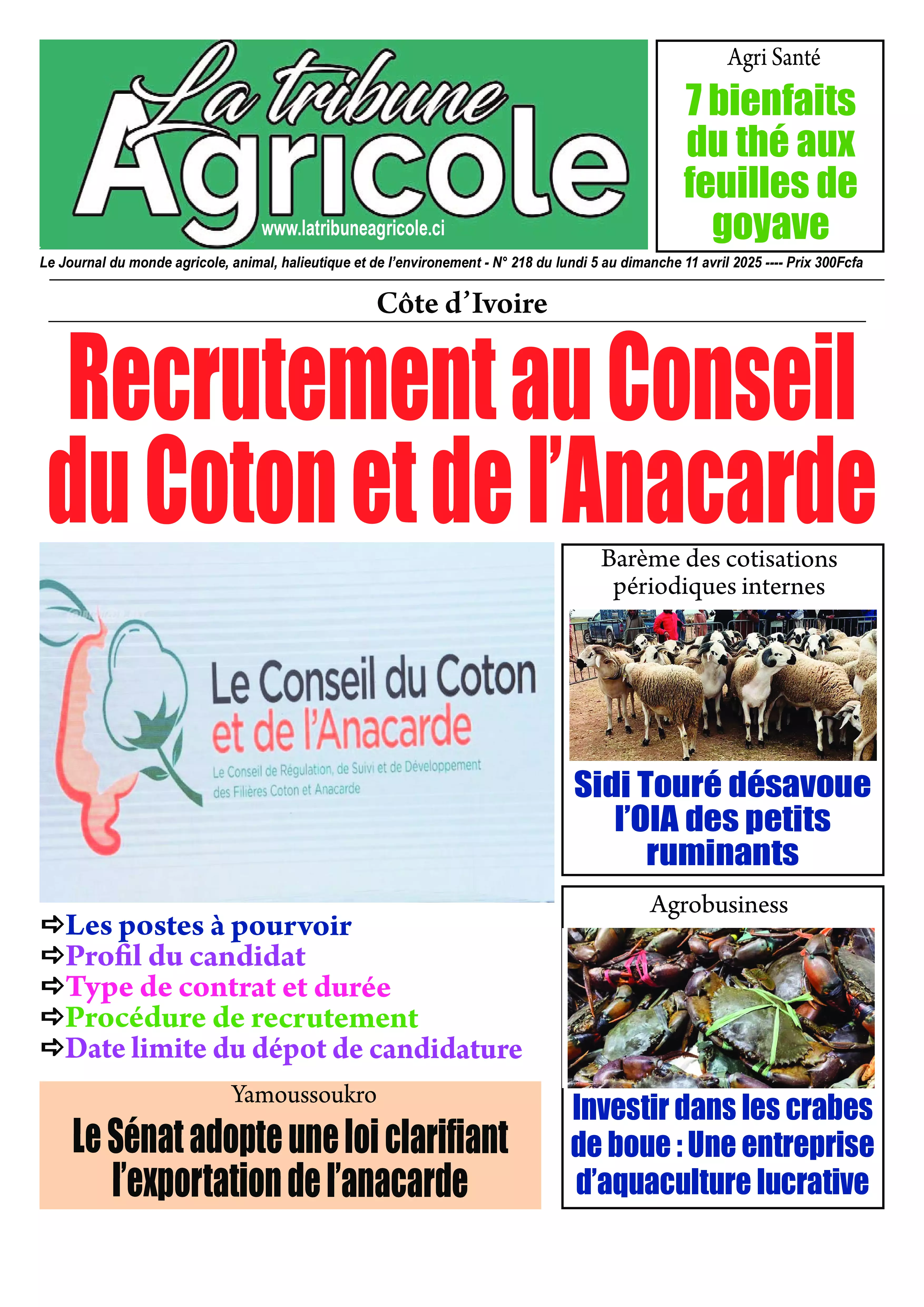 N° 218 - 2025-05-05