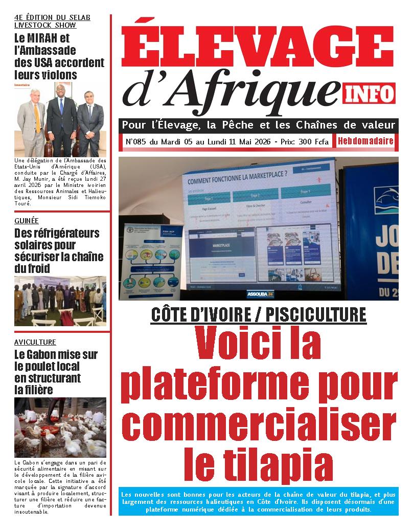 ELEVAGE D AFRIQUE N° 85