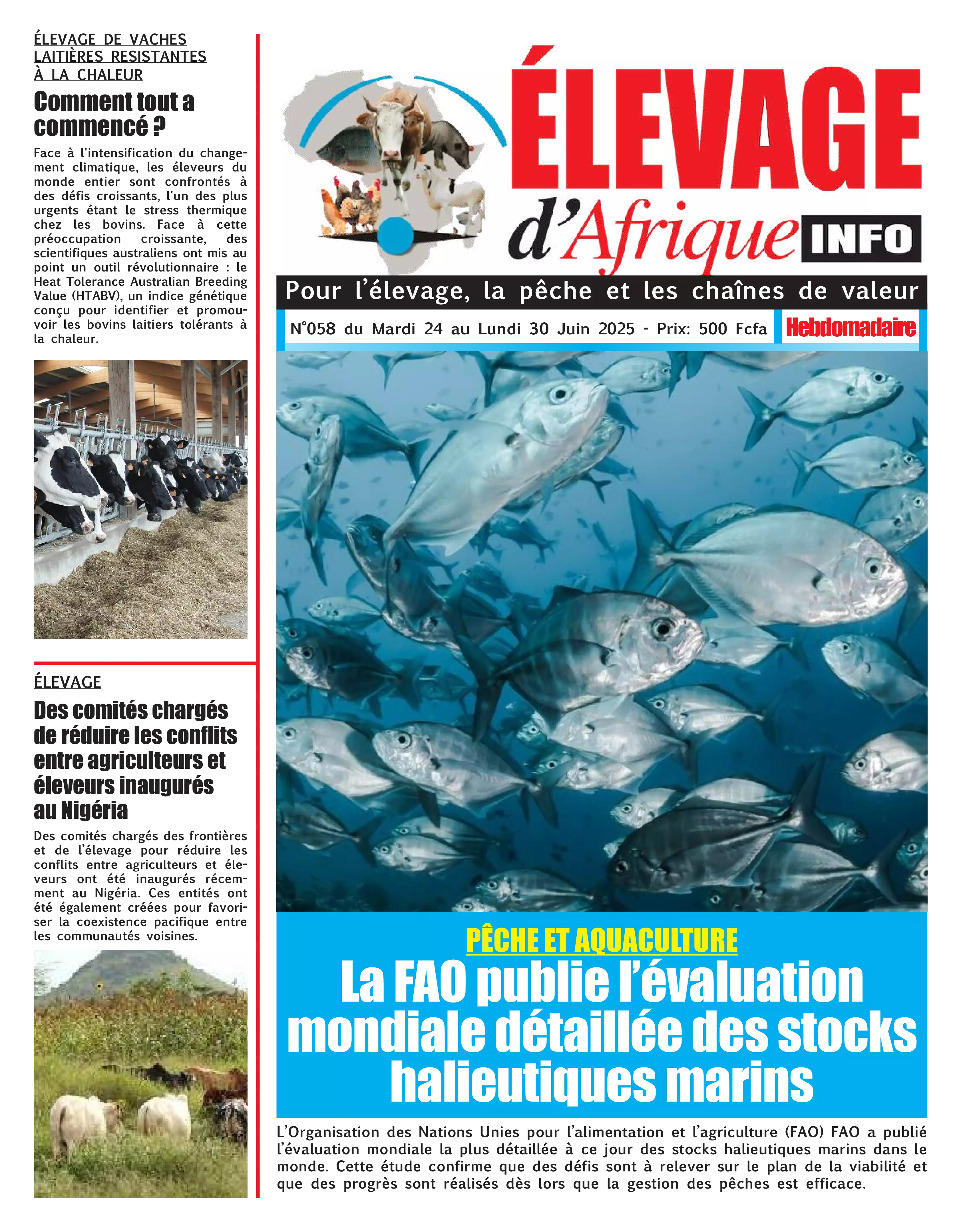 N° 58 - 2025-06-24