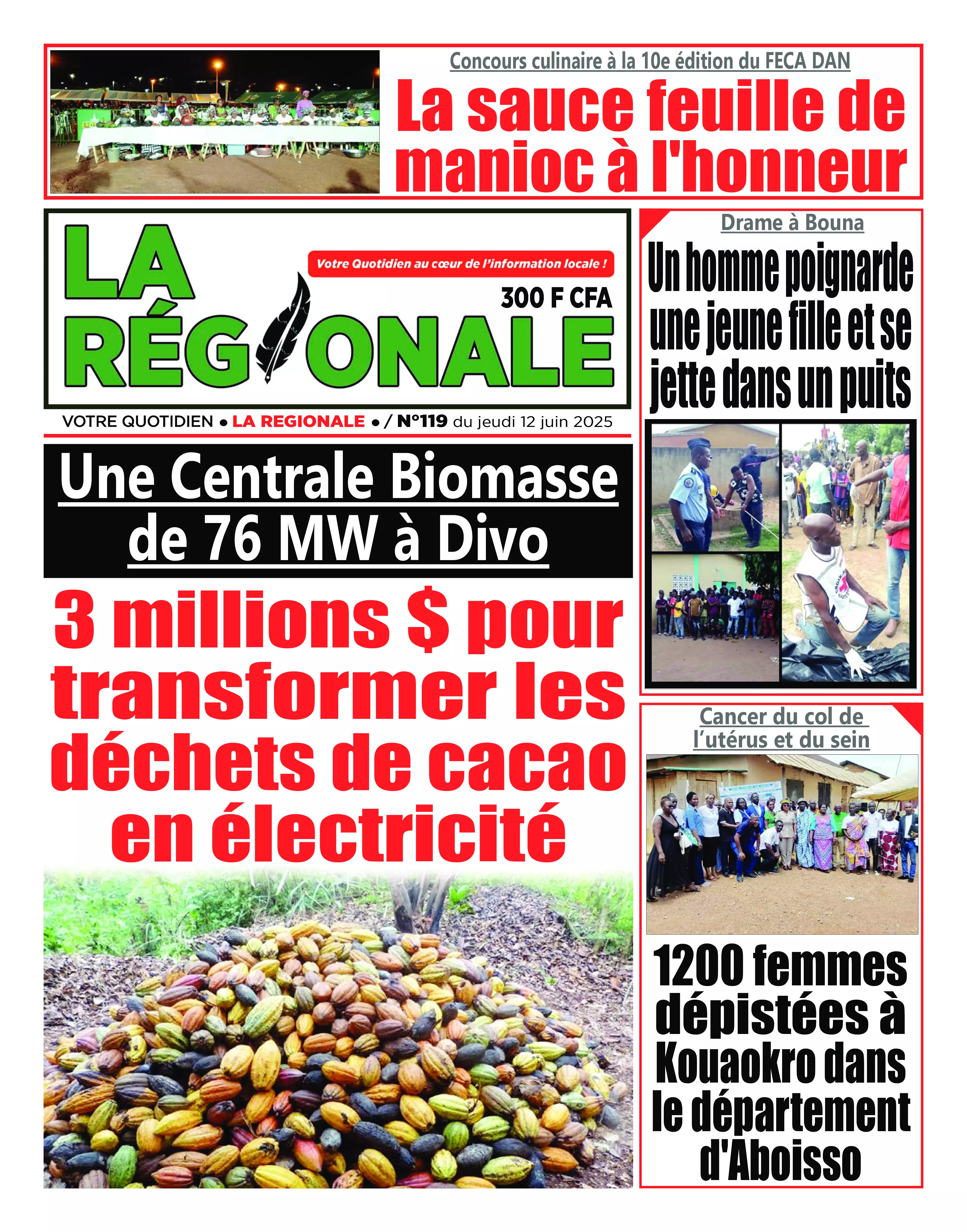 N° 119 - 2025-06-12