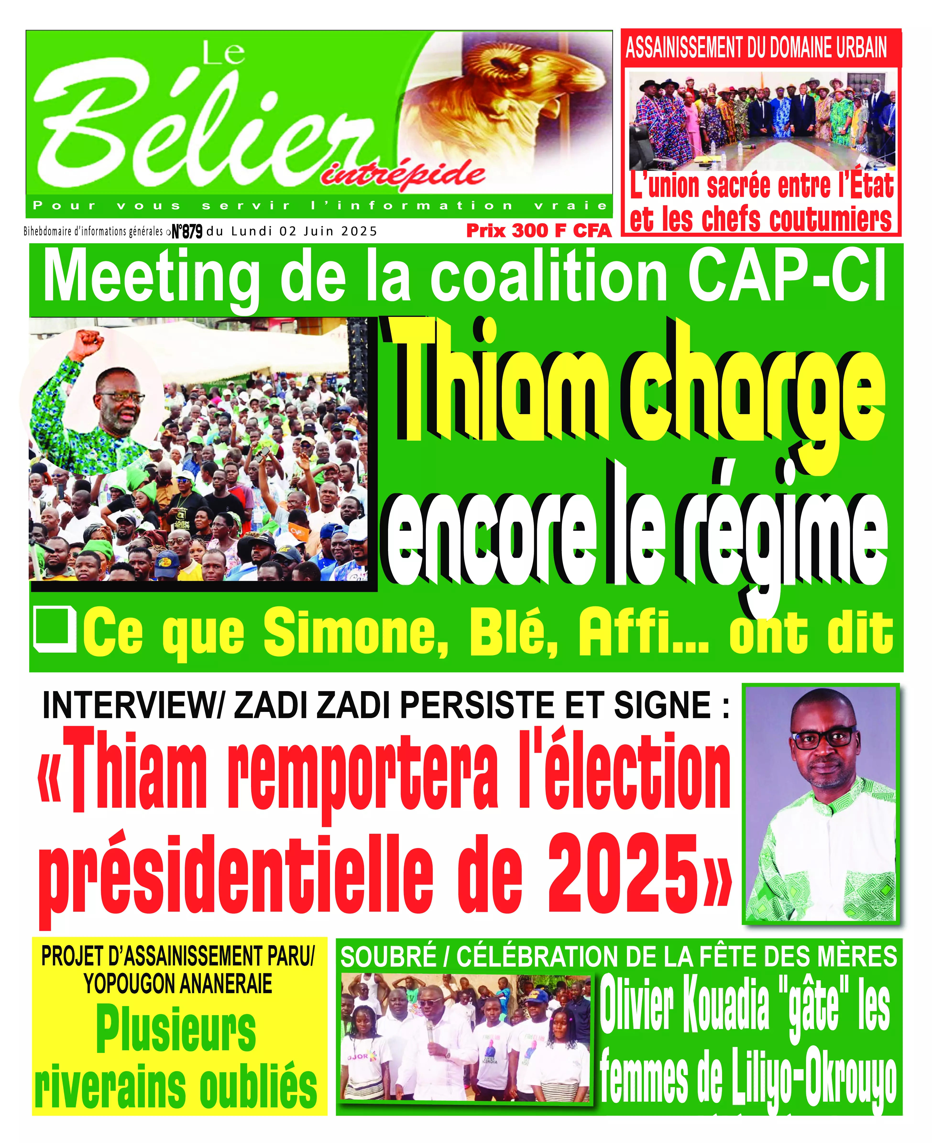 N° 879 - 2025-06-02