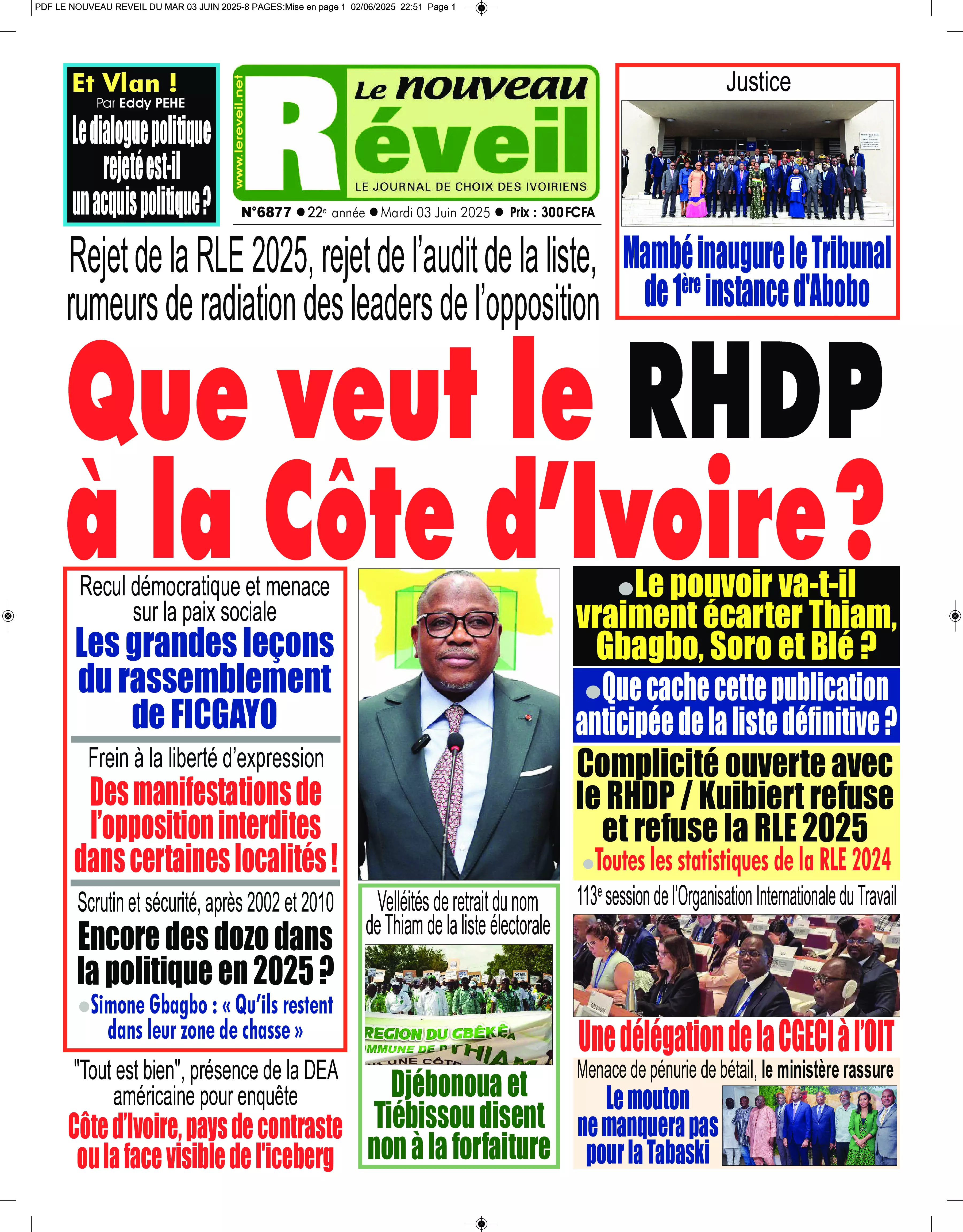 N° 6877 - 2025-06-03