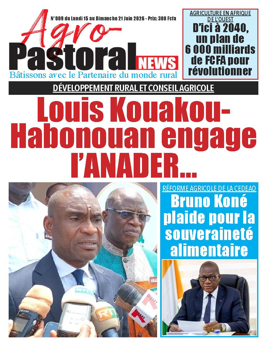 N° 9 - 2026-06-15