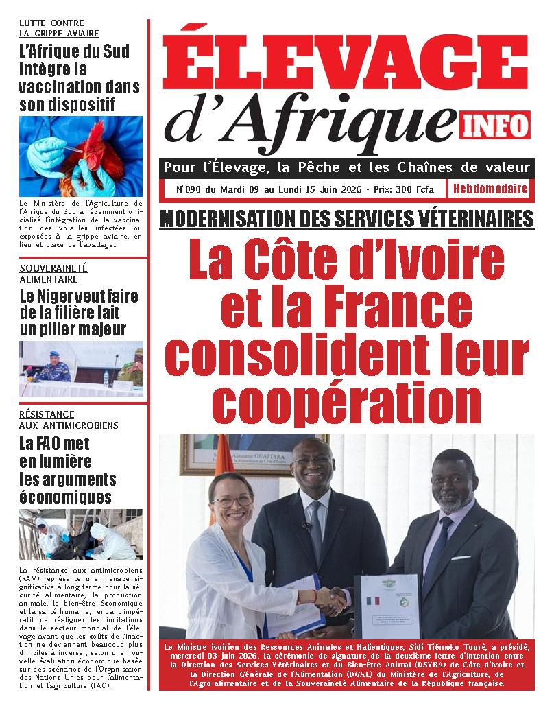 ELEVAGE D AFRIQUE N° 90