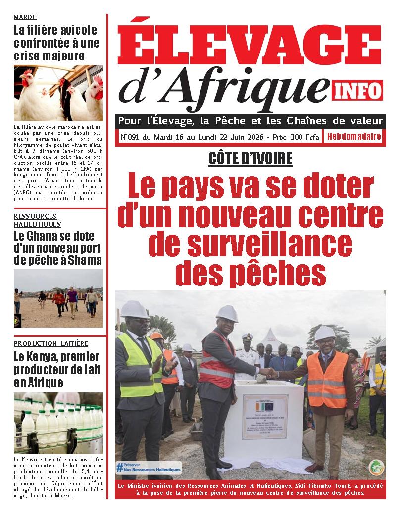 N° 91 - 2026-06-16