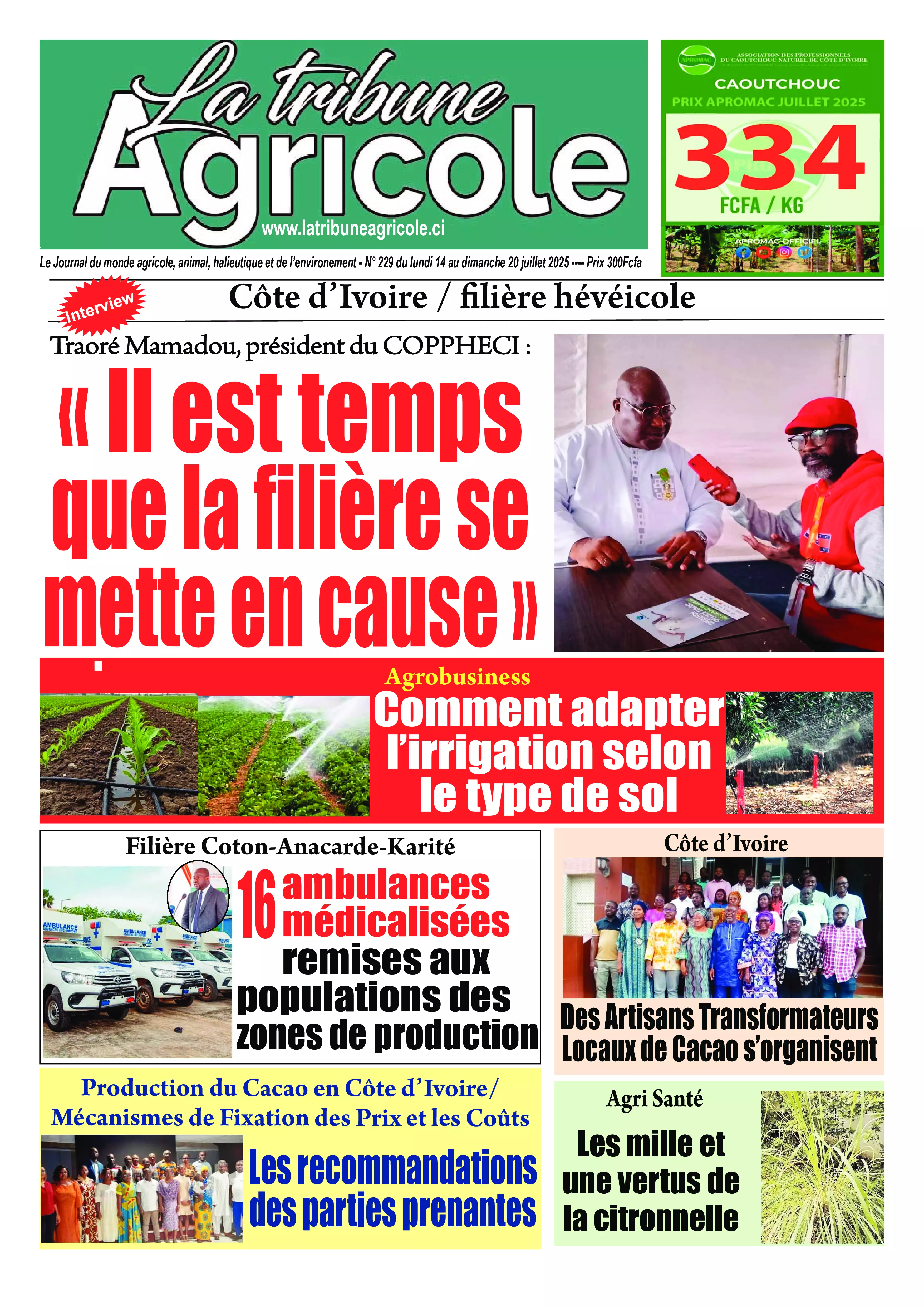 N° 229 - 2025-07-14