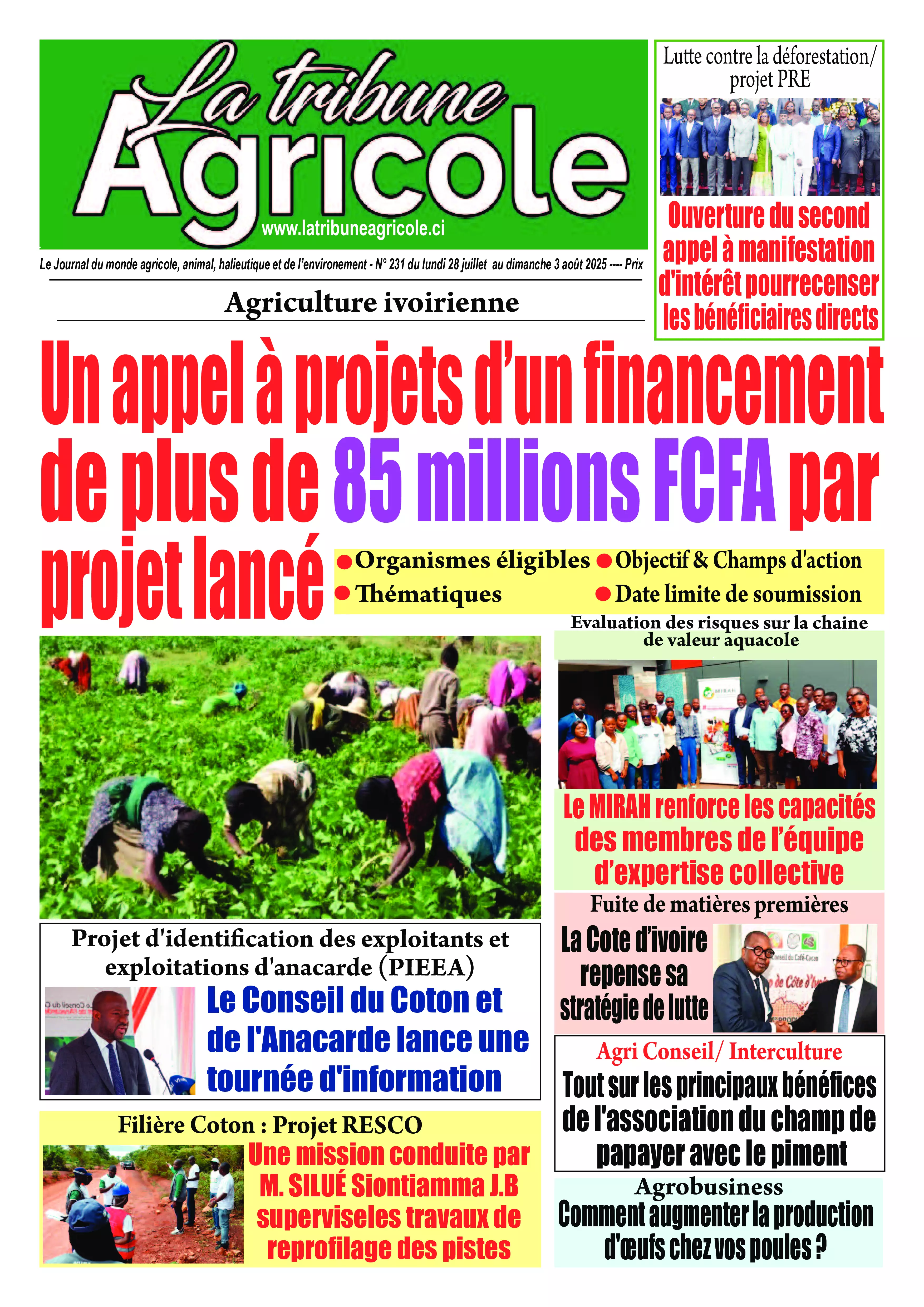 N° 230 - 2025-07-27