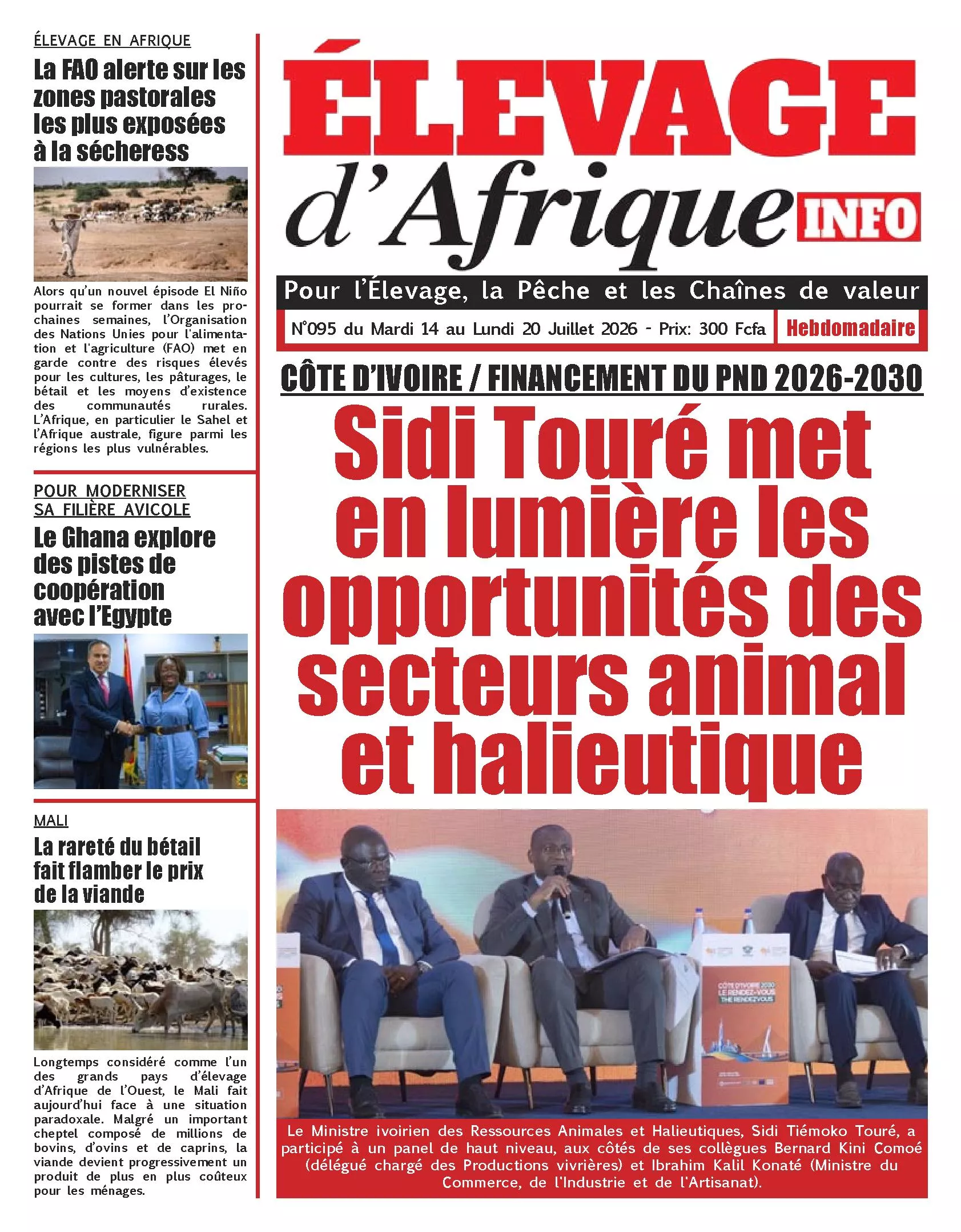 ELEVAGE D AFRIQUE N° 95