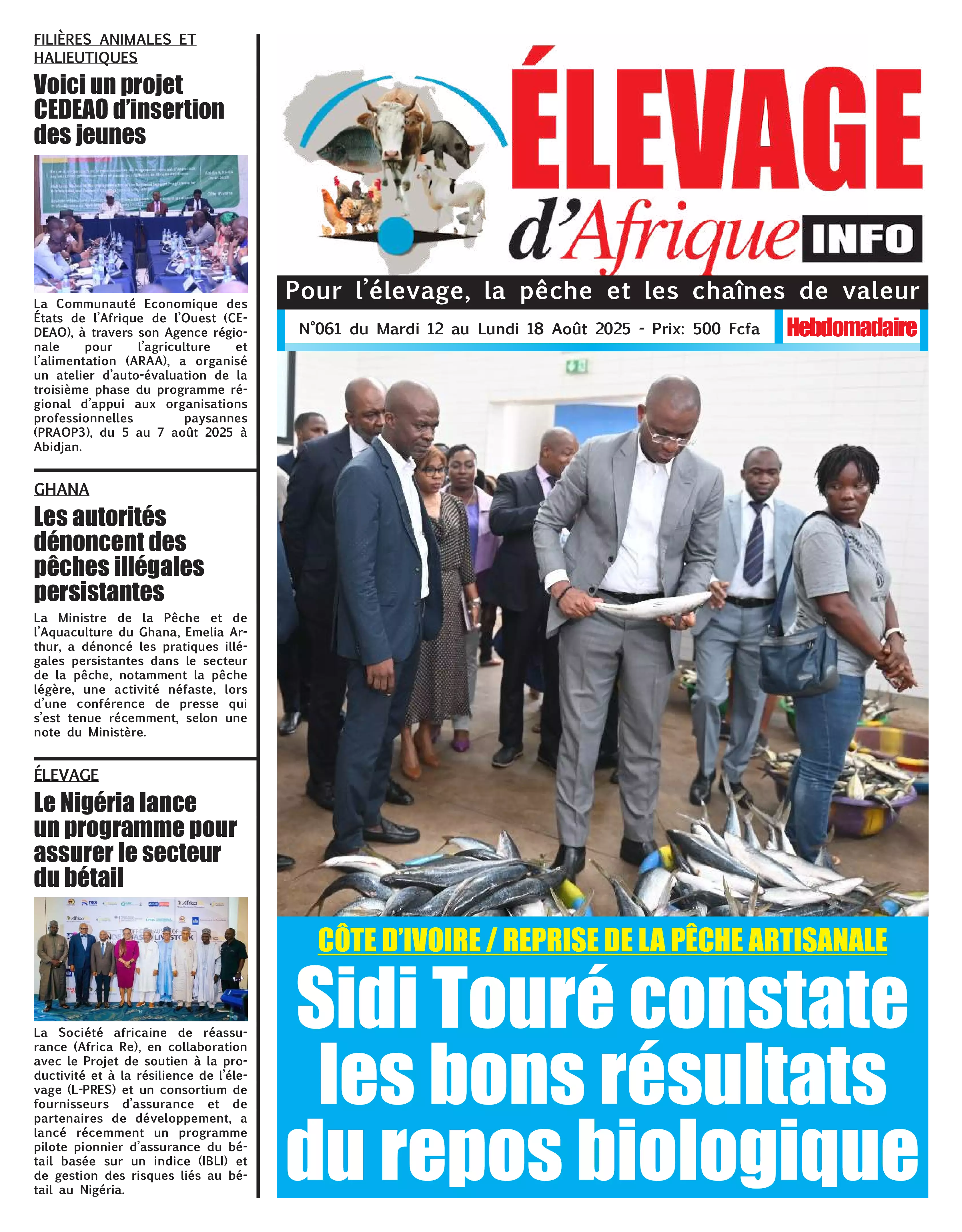 N° 61 - 2025-08-12