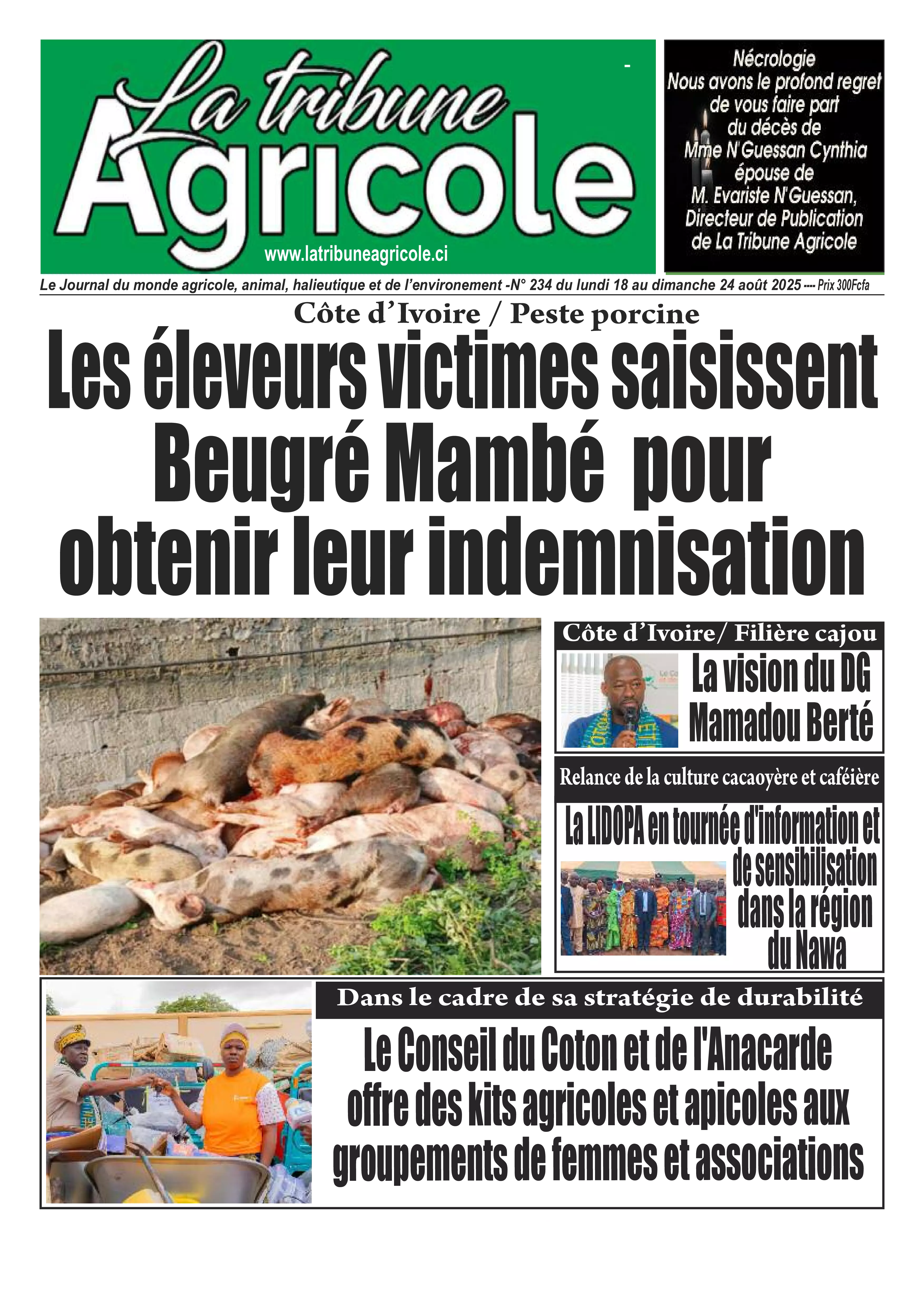 N° 234 - 2025-08-18
