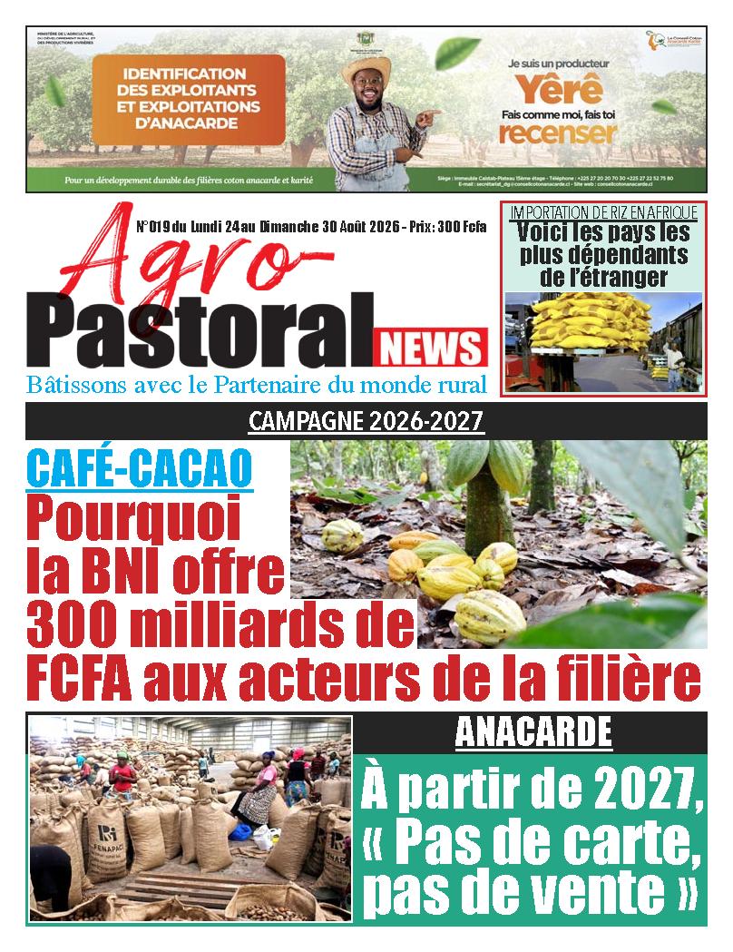 N° 19 - 2026-08-24