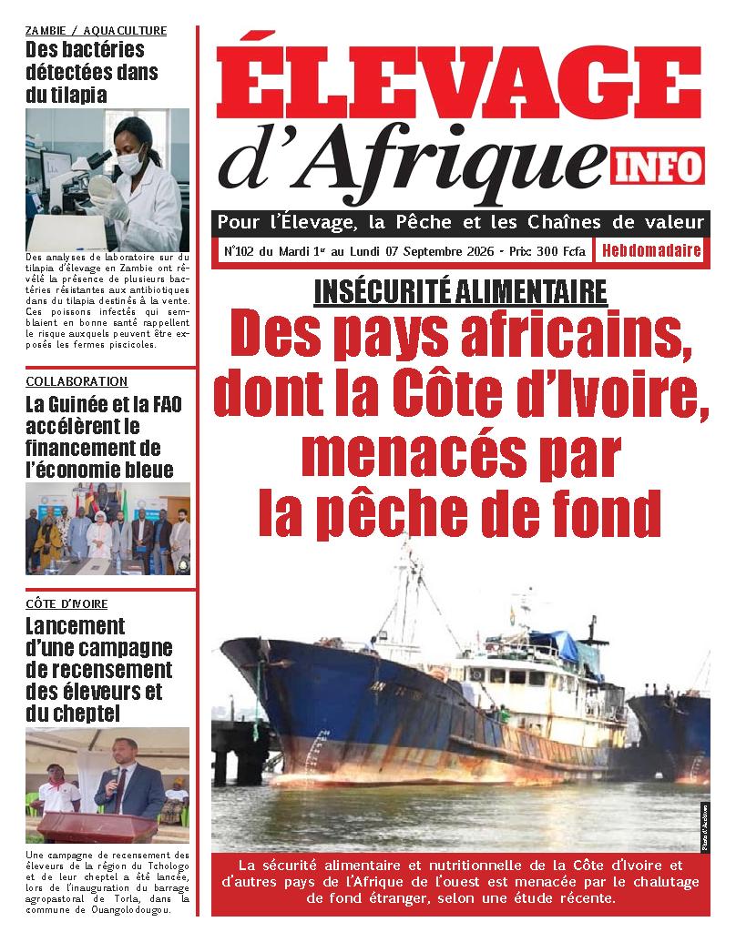 ELEVAGE D AFRIQUE N° 102