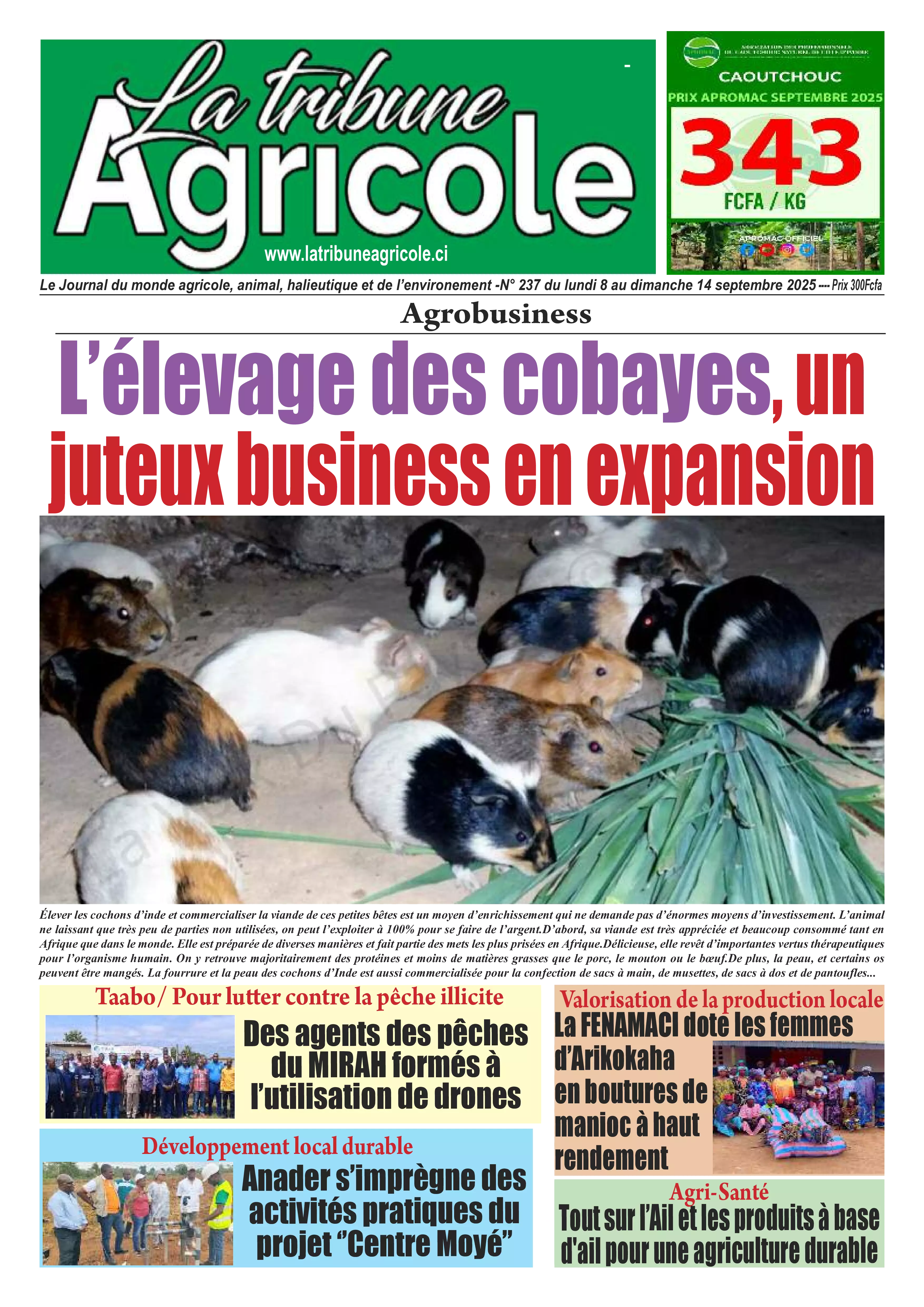N° 237 - 2025-09-08