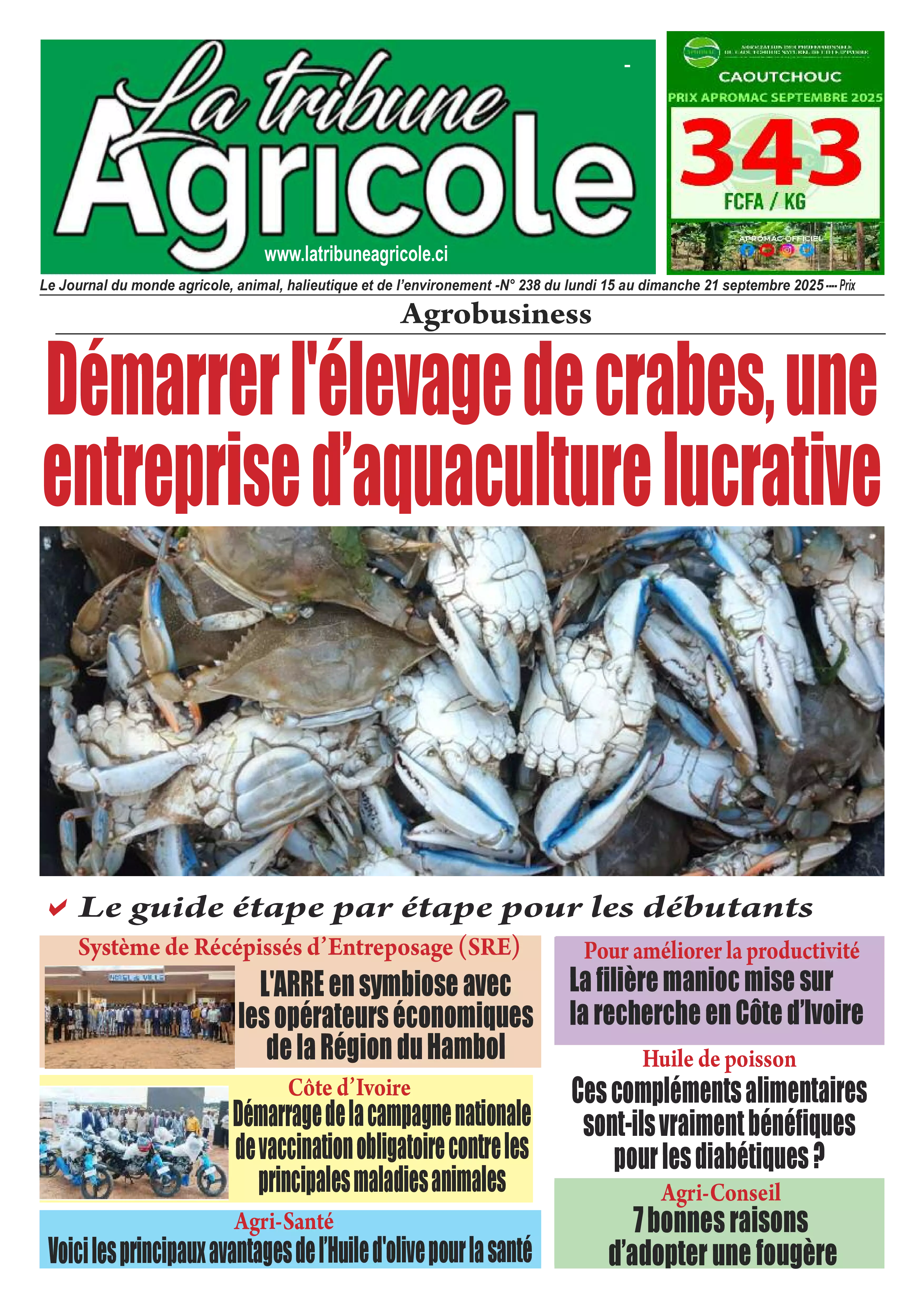 N° 238 - 2025-09-15