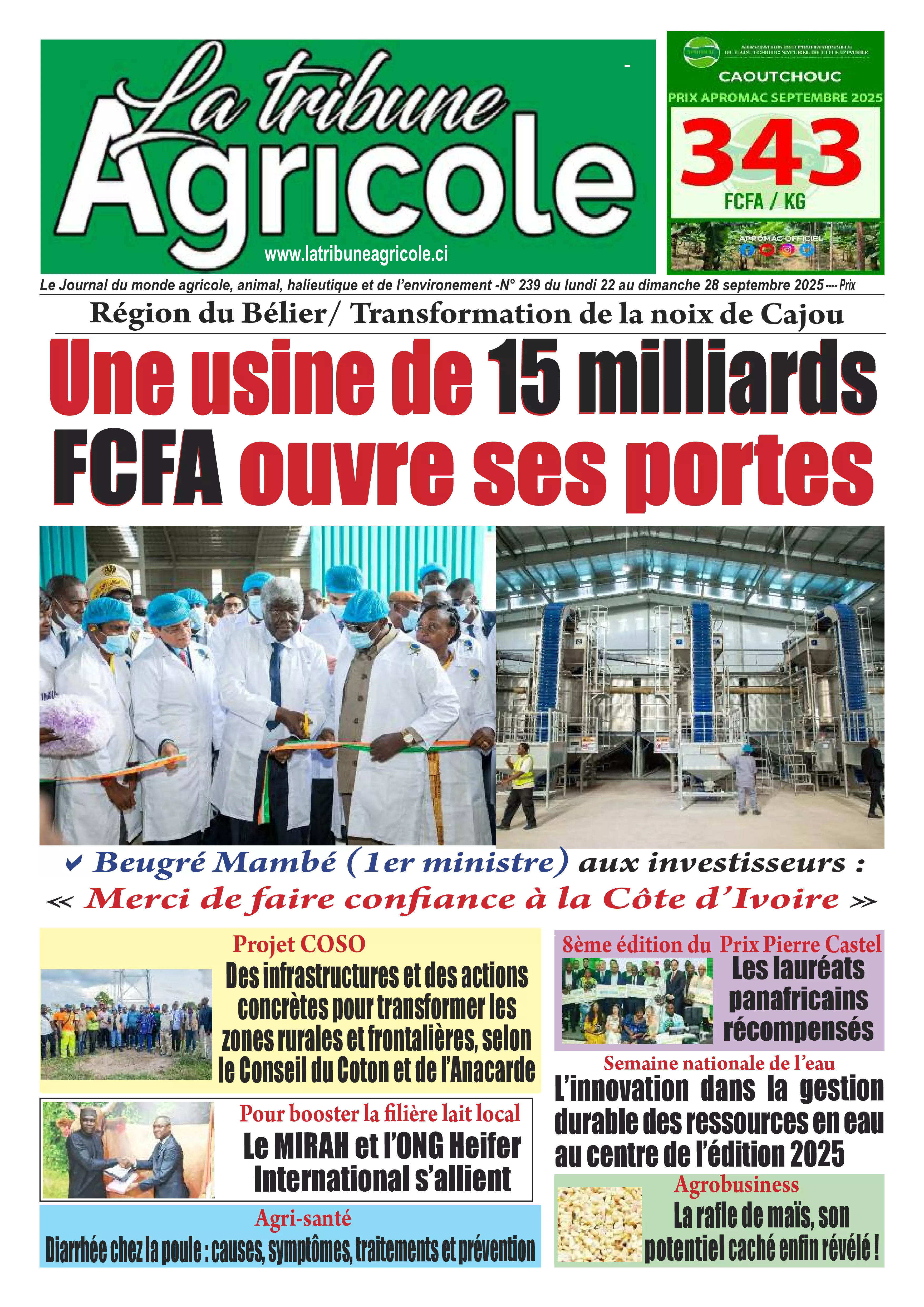 N° 239 - 2025-09-22