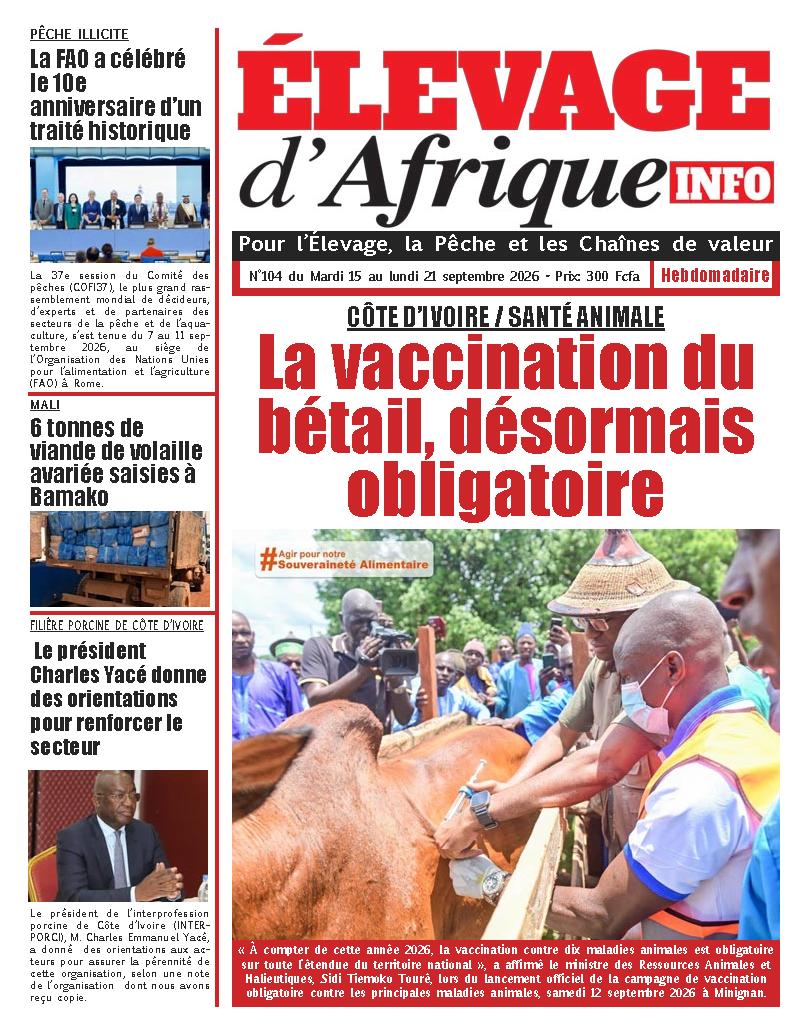N° 104 - 2026-09-15
