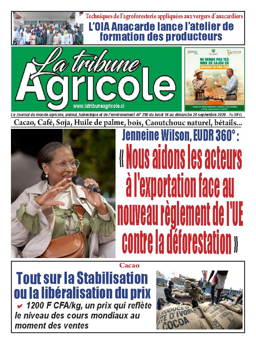N° 290 - 2026-09-14