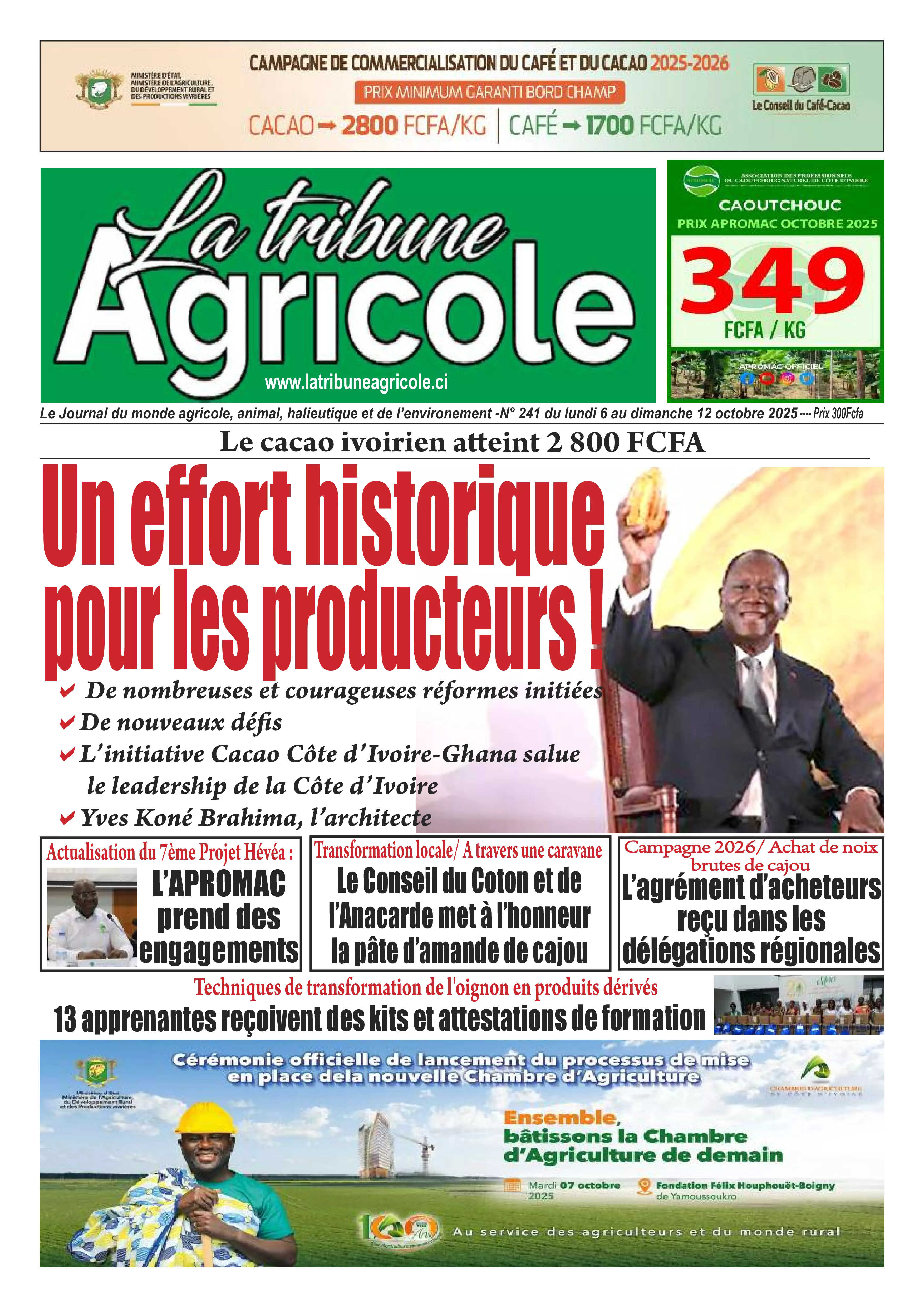 N° 241 - 2025-10-06