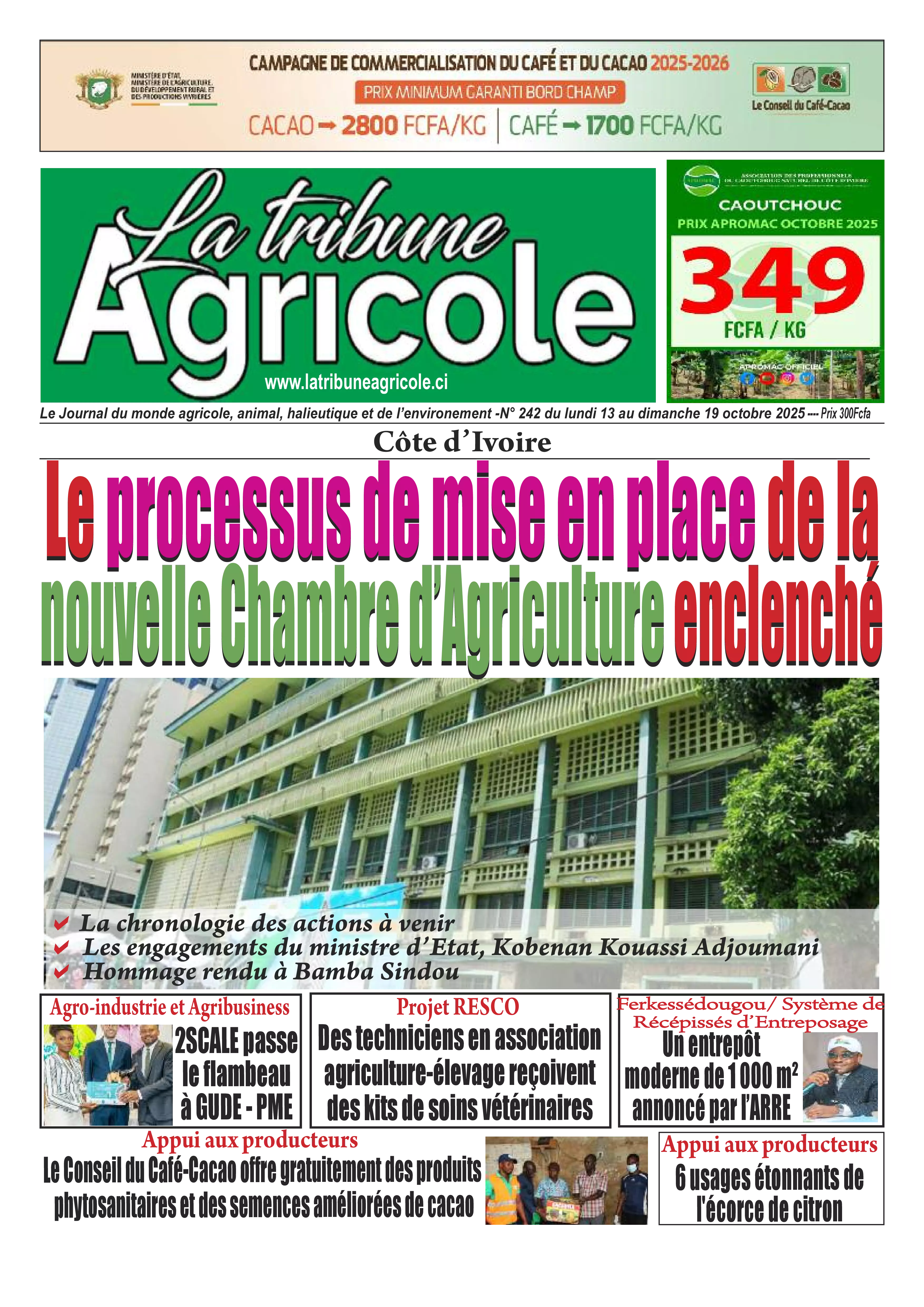 N° 242 - 2025-10-13