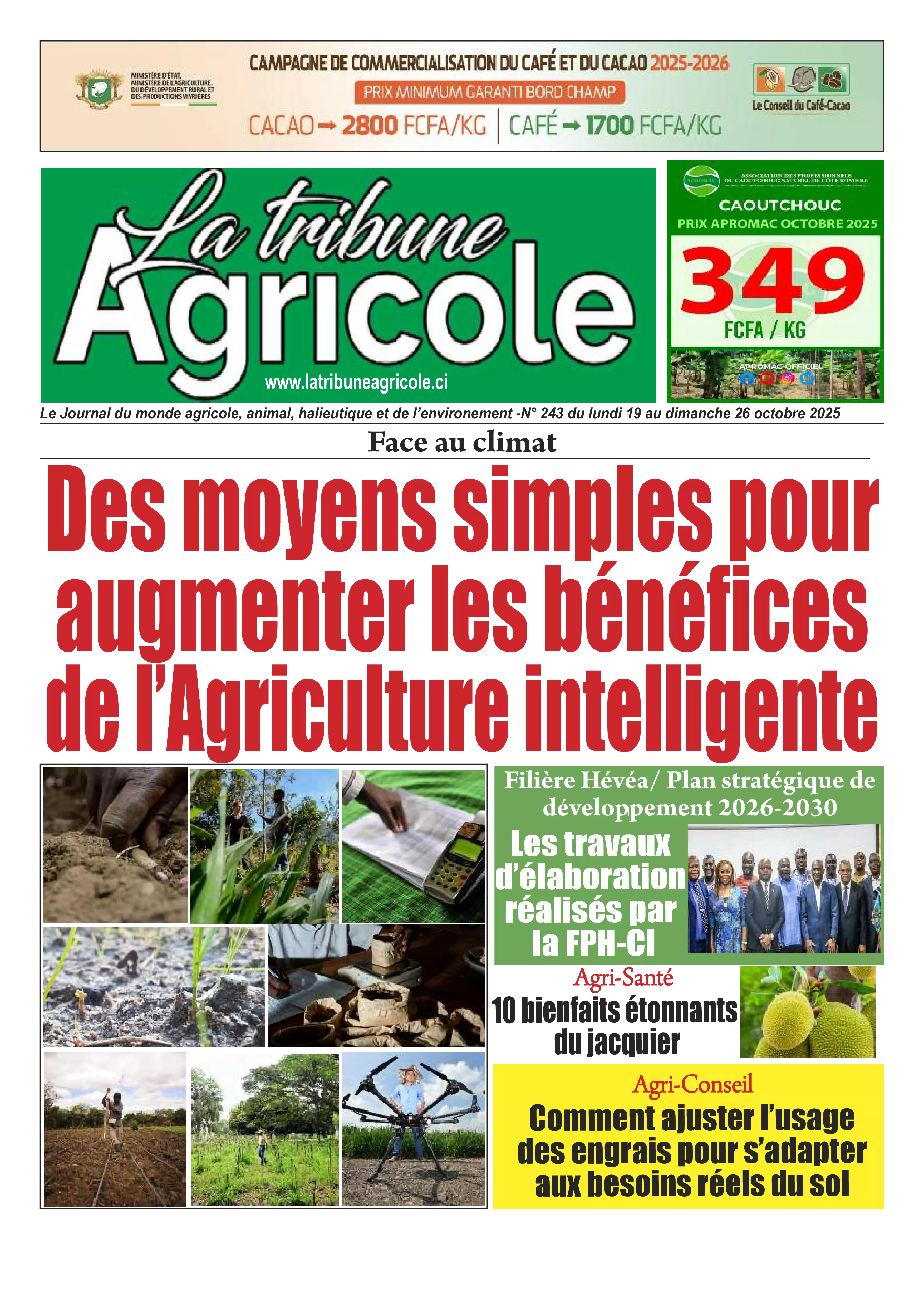 LA TRIBUNE AGRICOLE N° 243