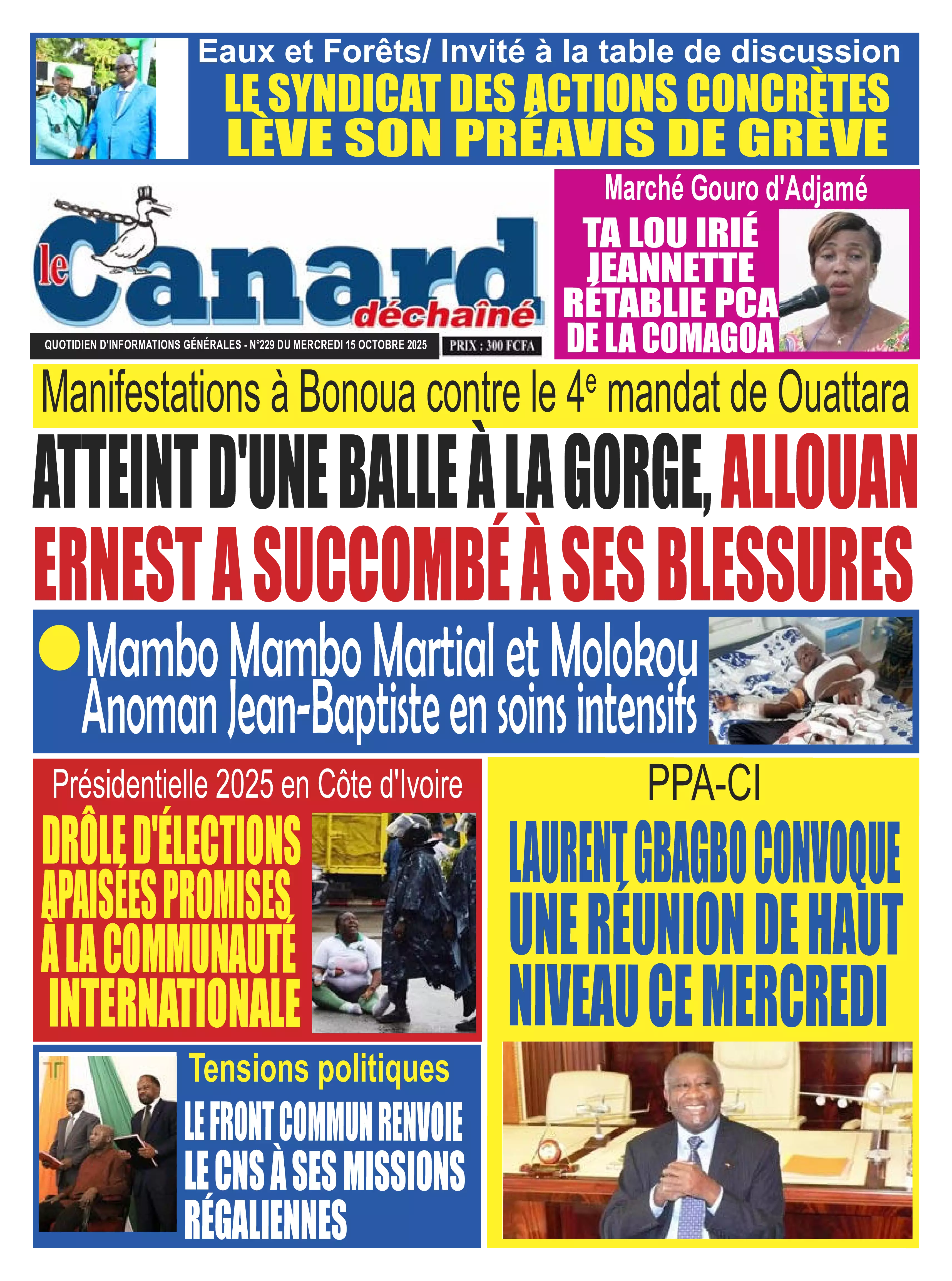 N° 229 - 2025-10-15