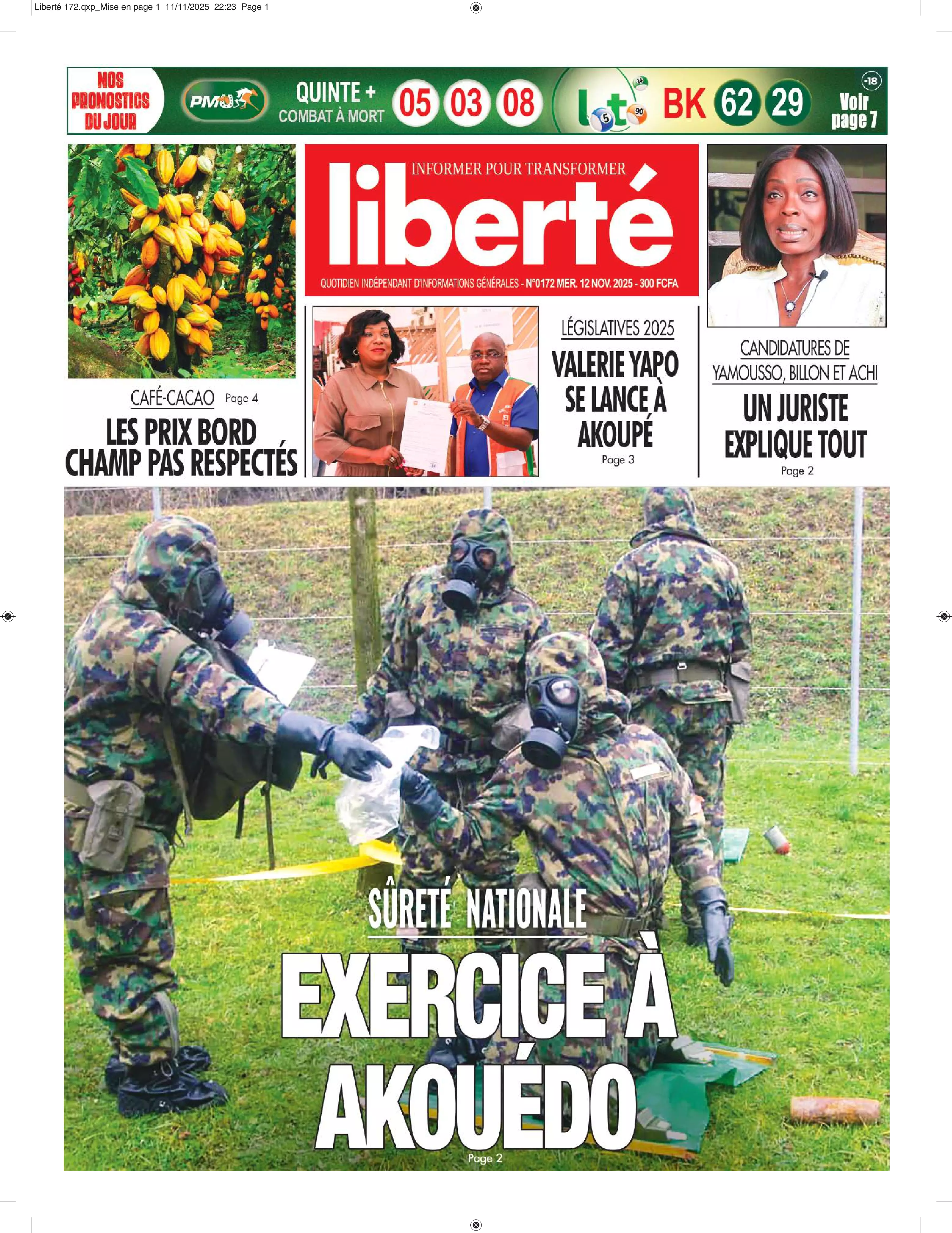 N° 172 - 2025-11-12