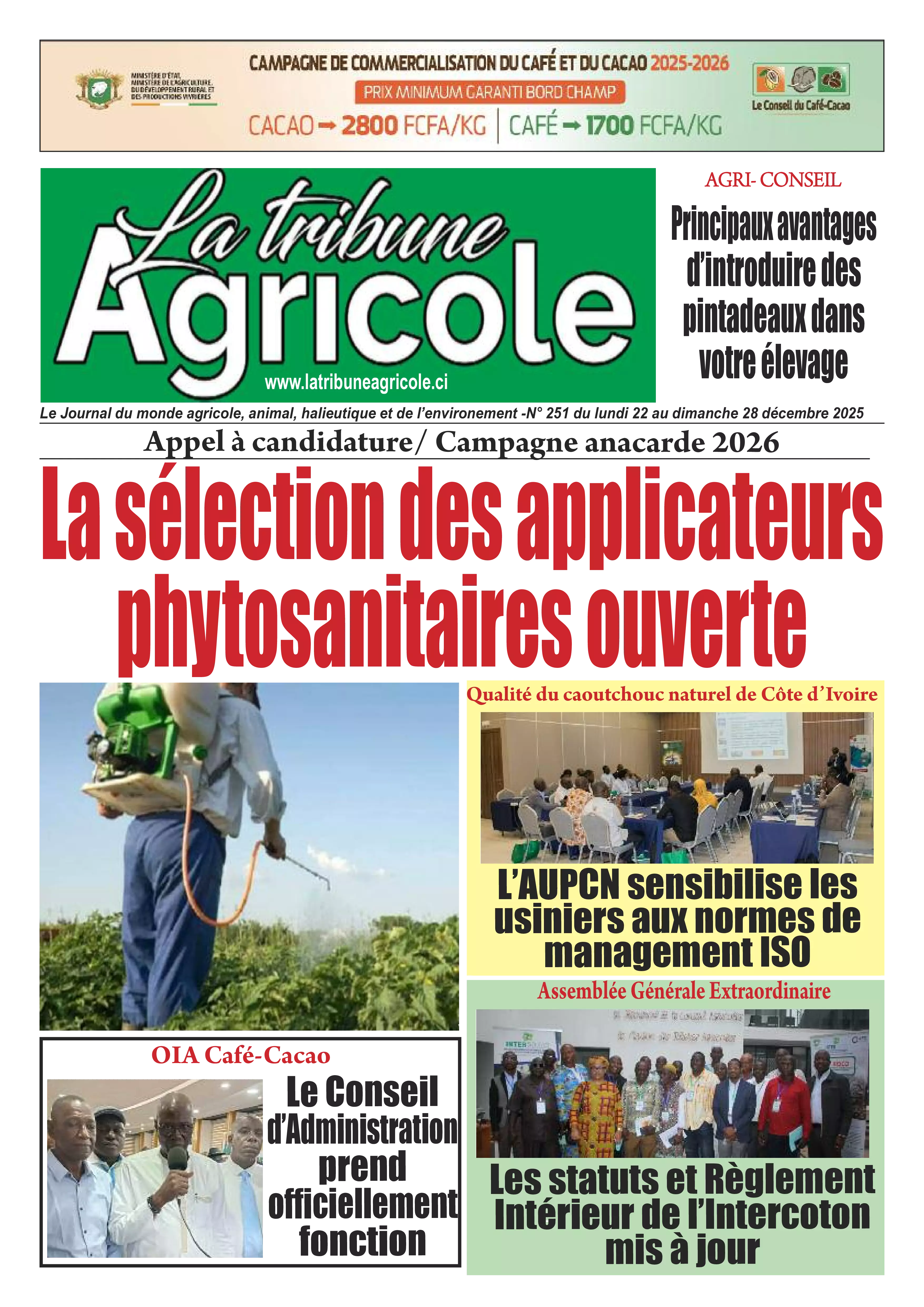 N° 251 - 2025-12-22