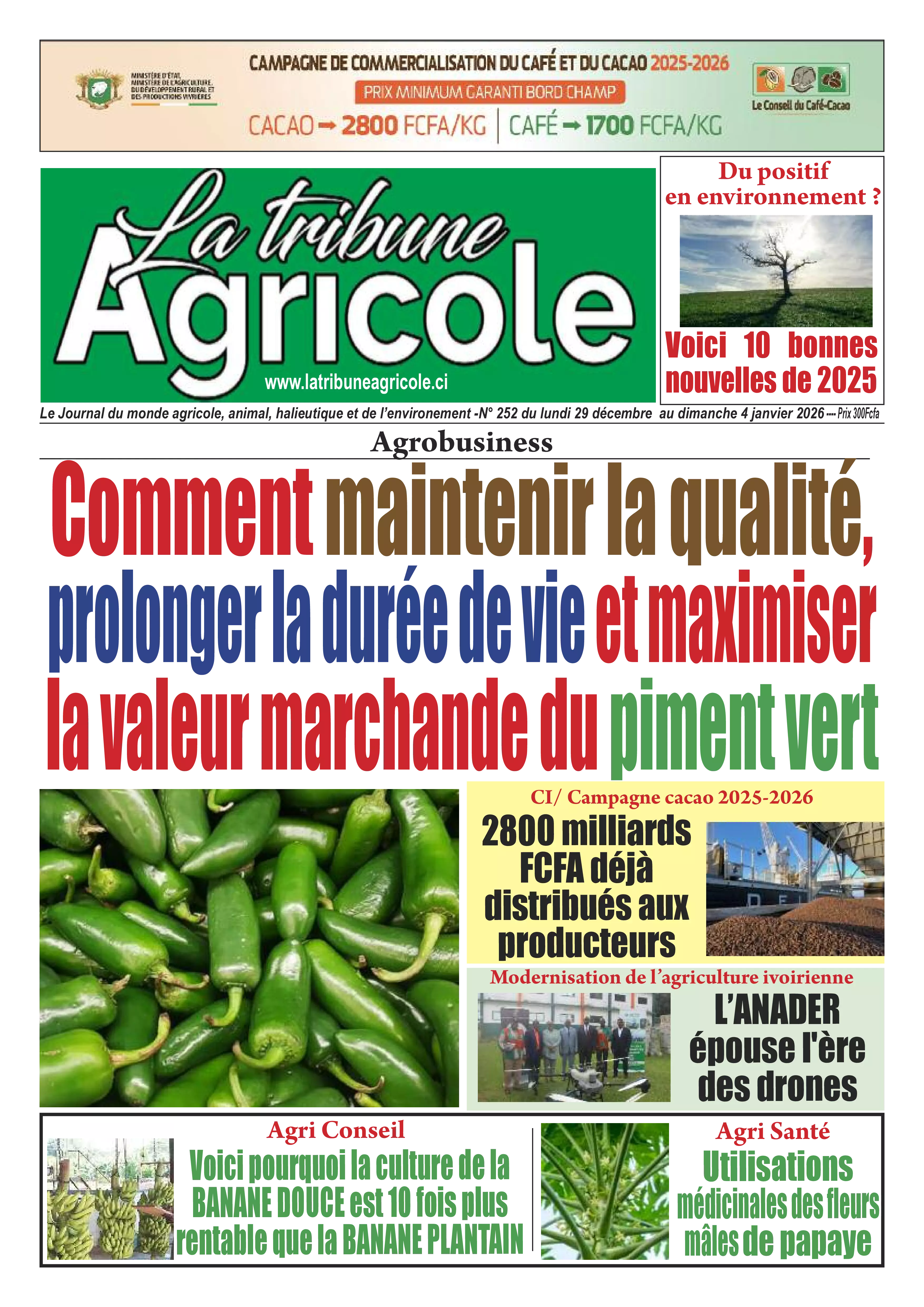 N° 252 - 2025-12-29