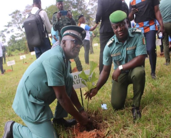 La journée nationale de l’arbre 2024 marquée par la plantation de 5.000 plants dans la région de San Pedro