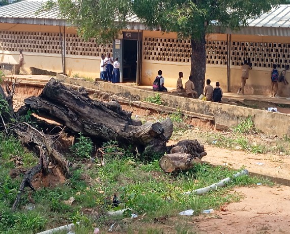 Sassandra : des professeurs arrêtent les cours pour réclamer l'eau potable