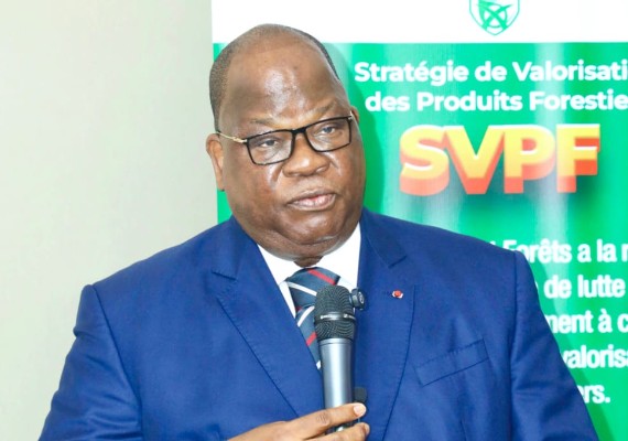 Stratégie forestière de la Côte d'Ivoire : Laurent Tchagba mise sur les partenariats publics privés