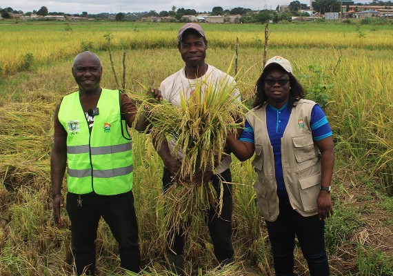 Salon International de l’Agriculture et des Ressources Animales d’Abidjan (SARA 2025): l'Anader s'active pour sa participation