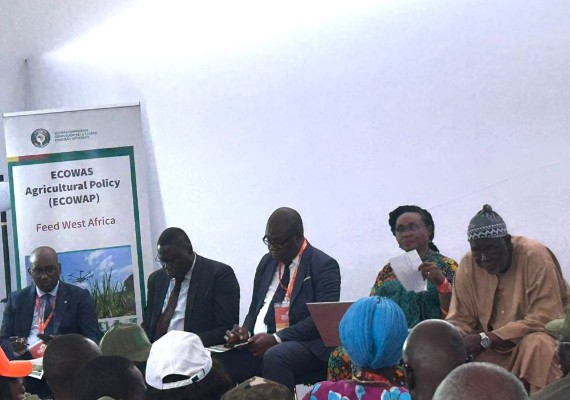 Politique agricole : CEDEAO invite les jeunes à se tourner vers l’agriculture