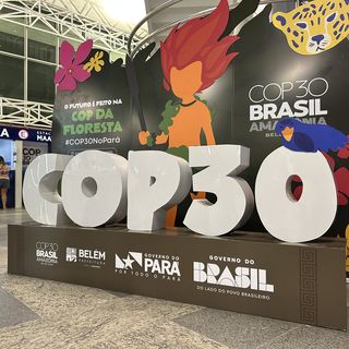 Lutte contre le changement climatique : ouverture ce jour de la COP30 au Brésil